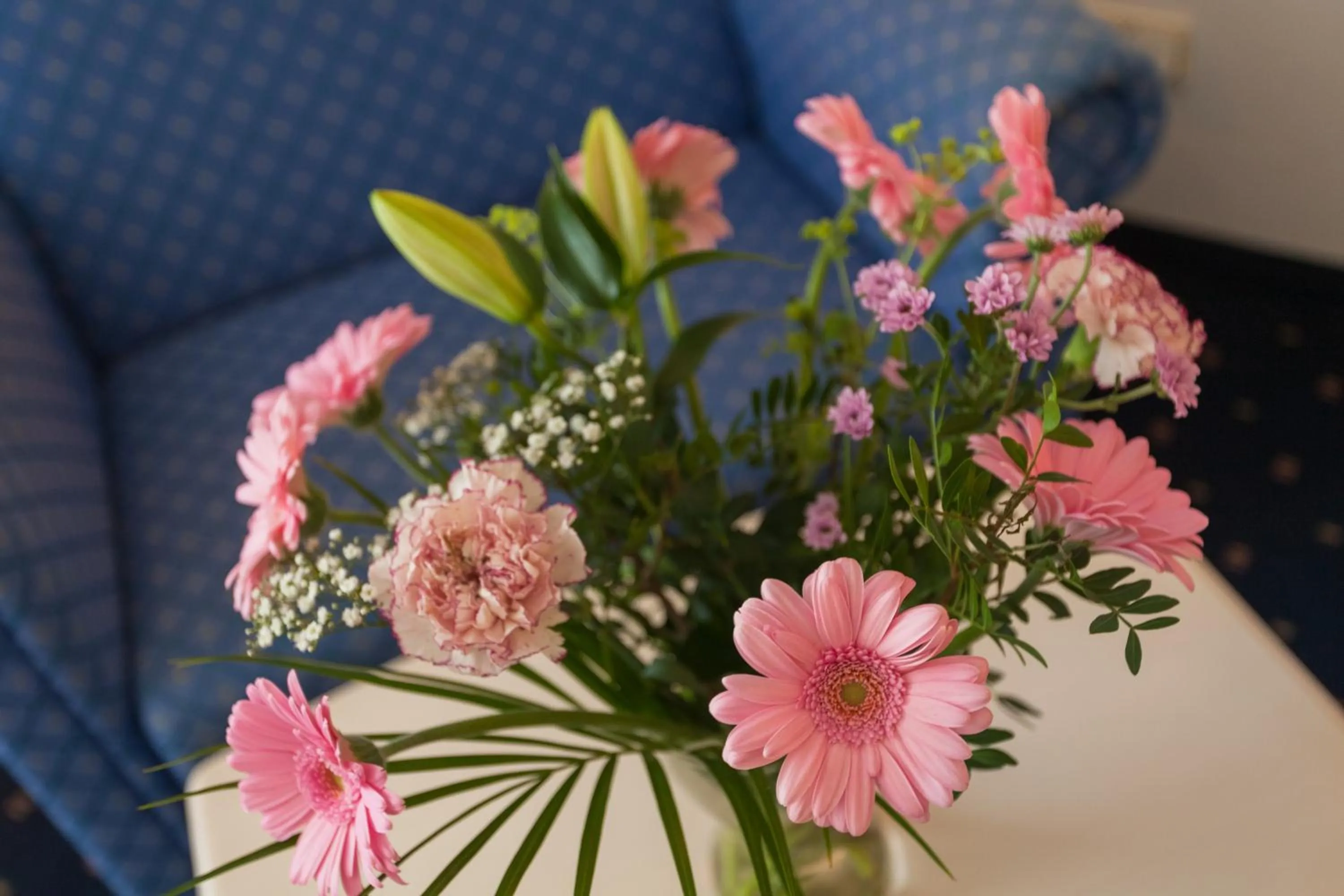 Other in Hotel Meerzeit Binz