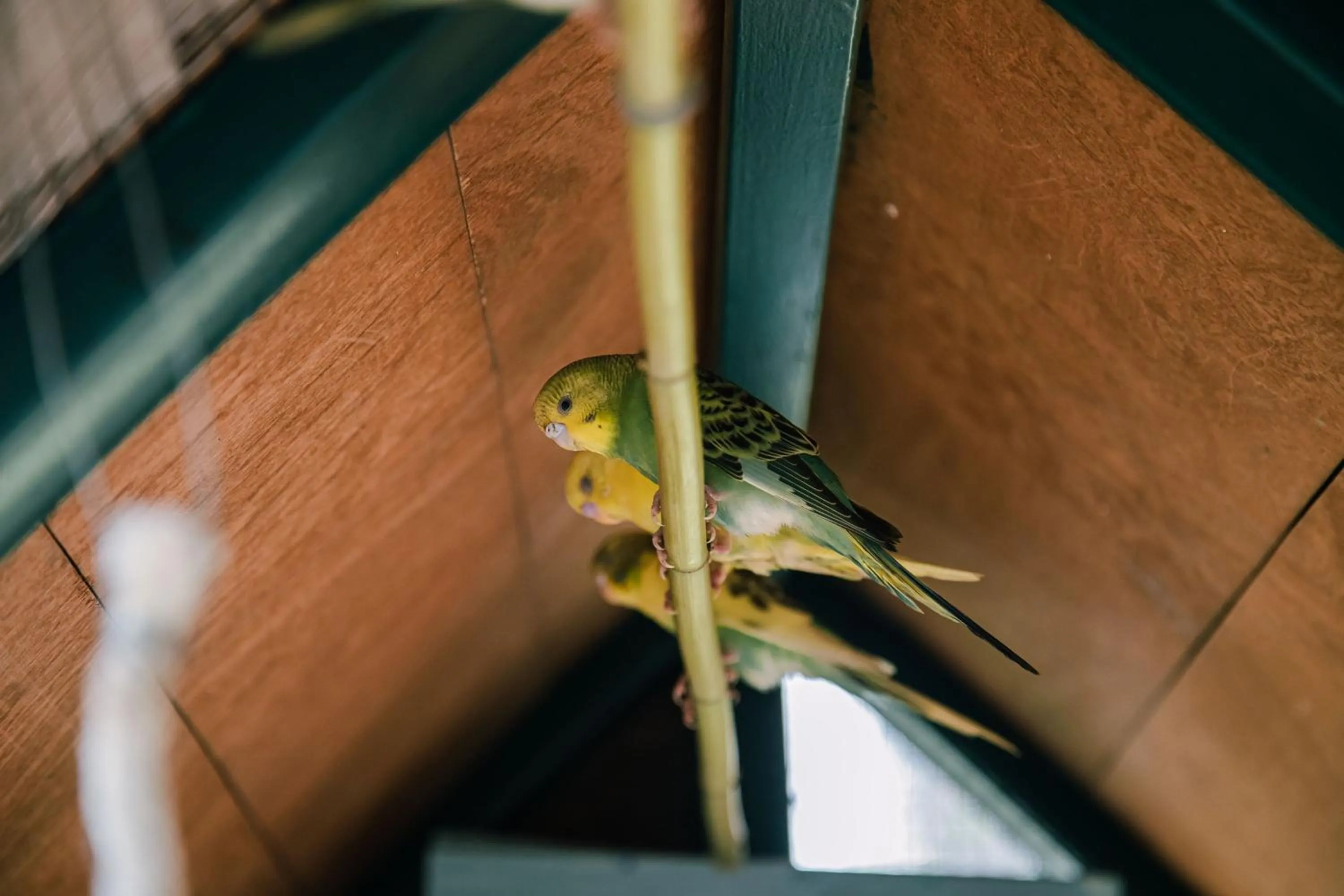 Other in JW Marriott Hotel Hanoi