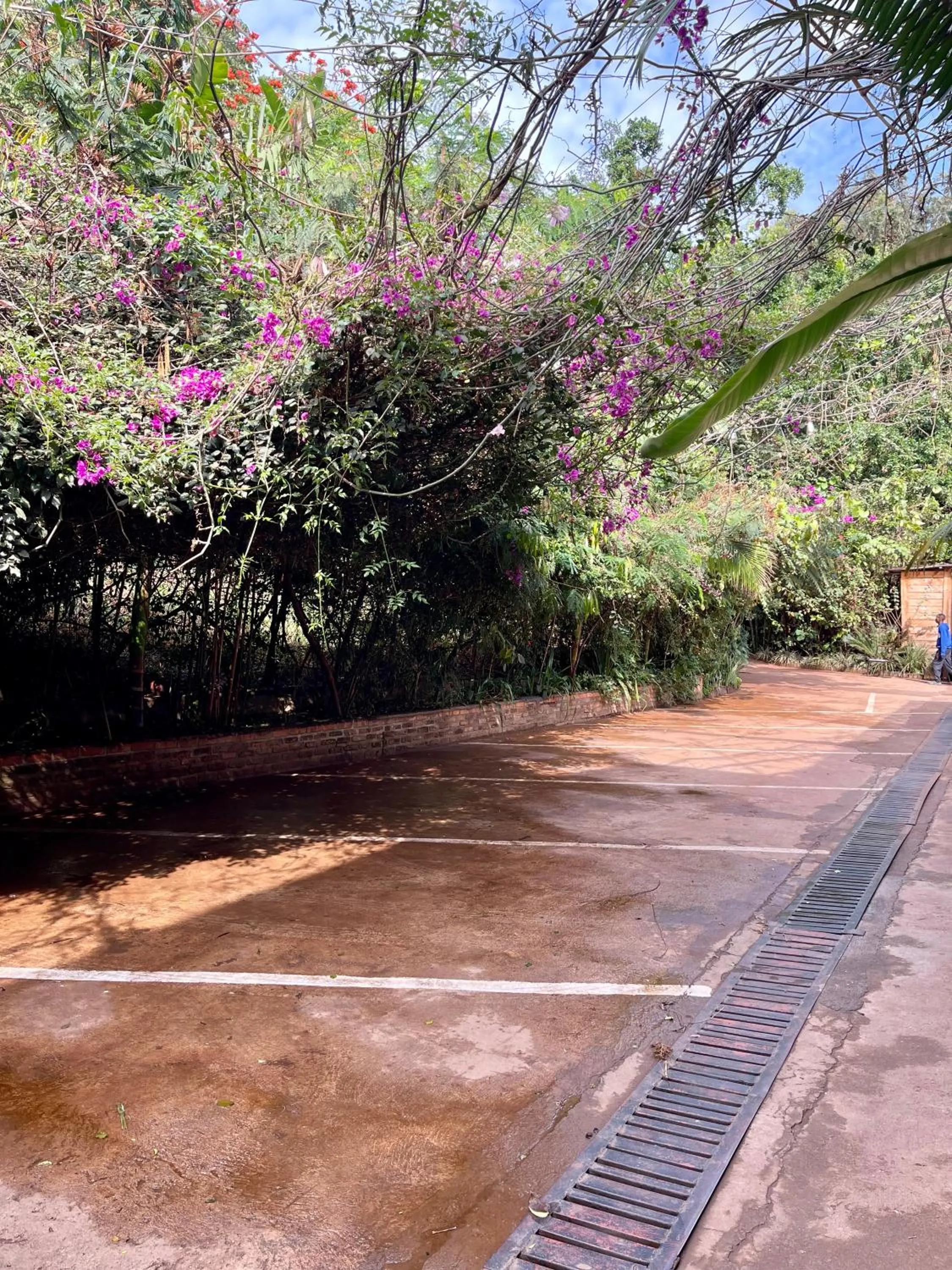 Day in Eagle View Lodge - Kigali