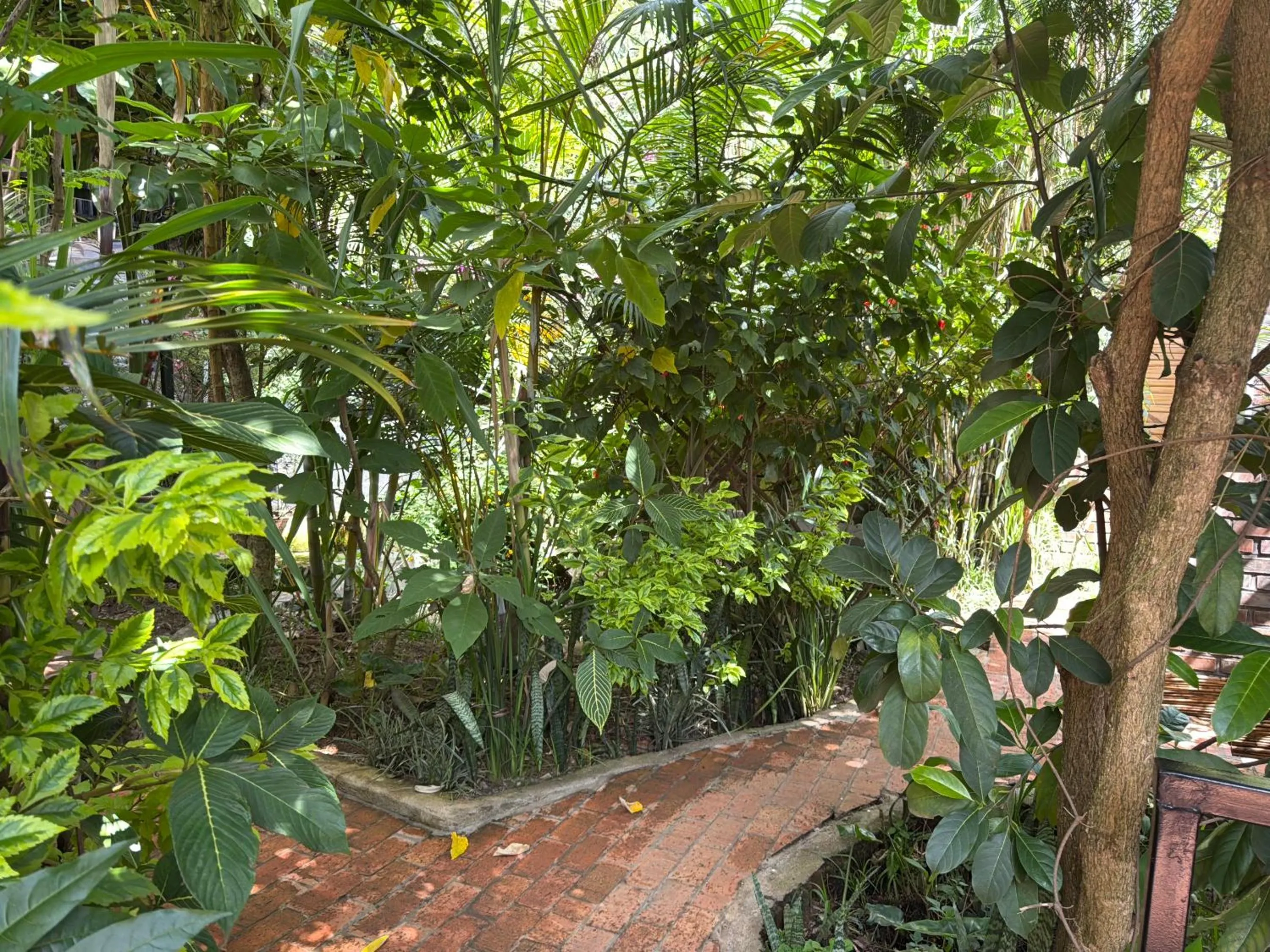 Other in Eagle View Lodge - Kigali