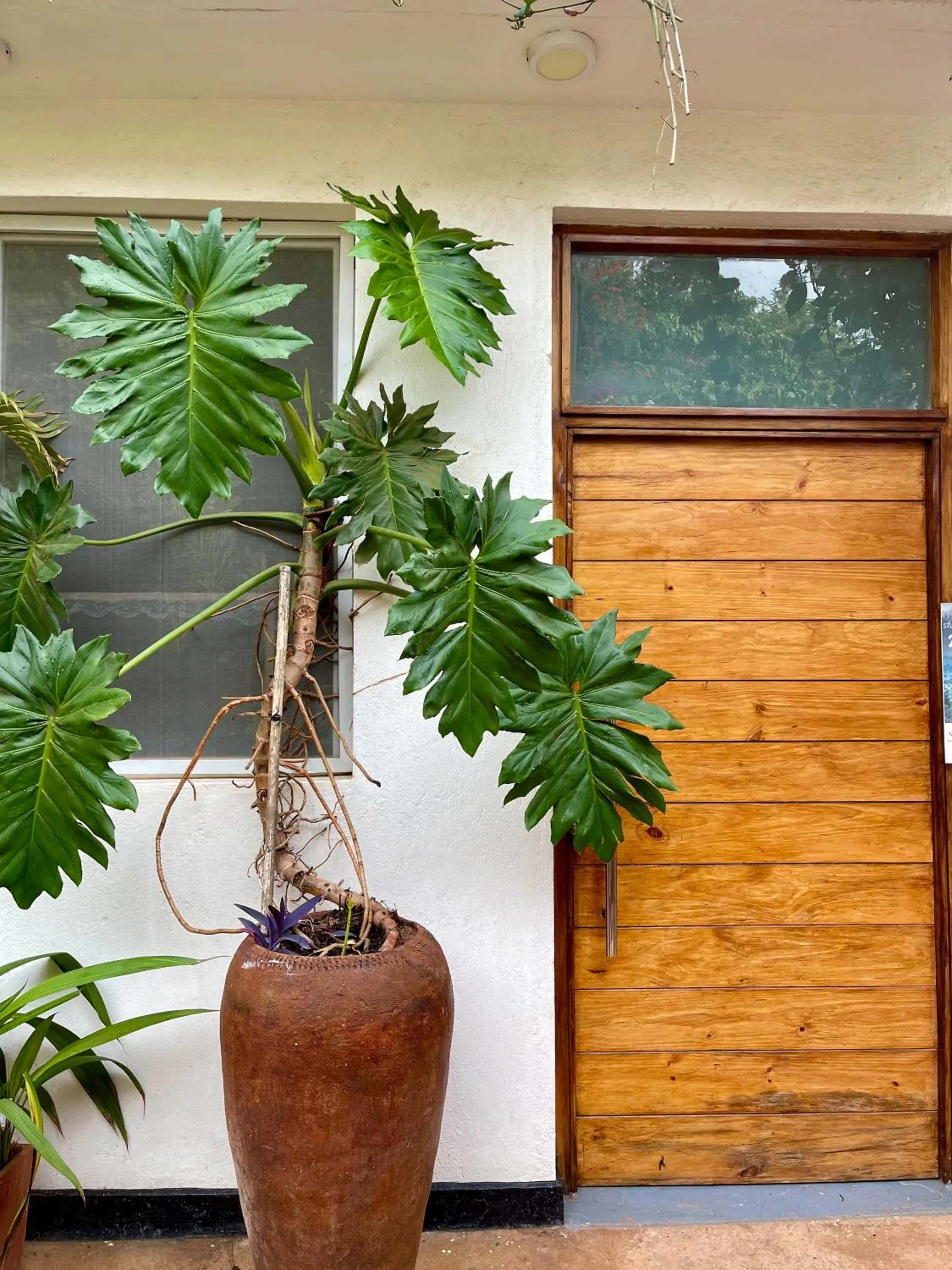 Garden in Eagle View Lodge - Kigali