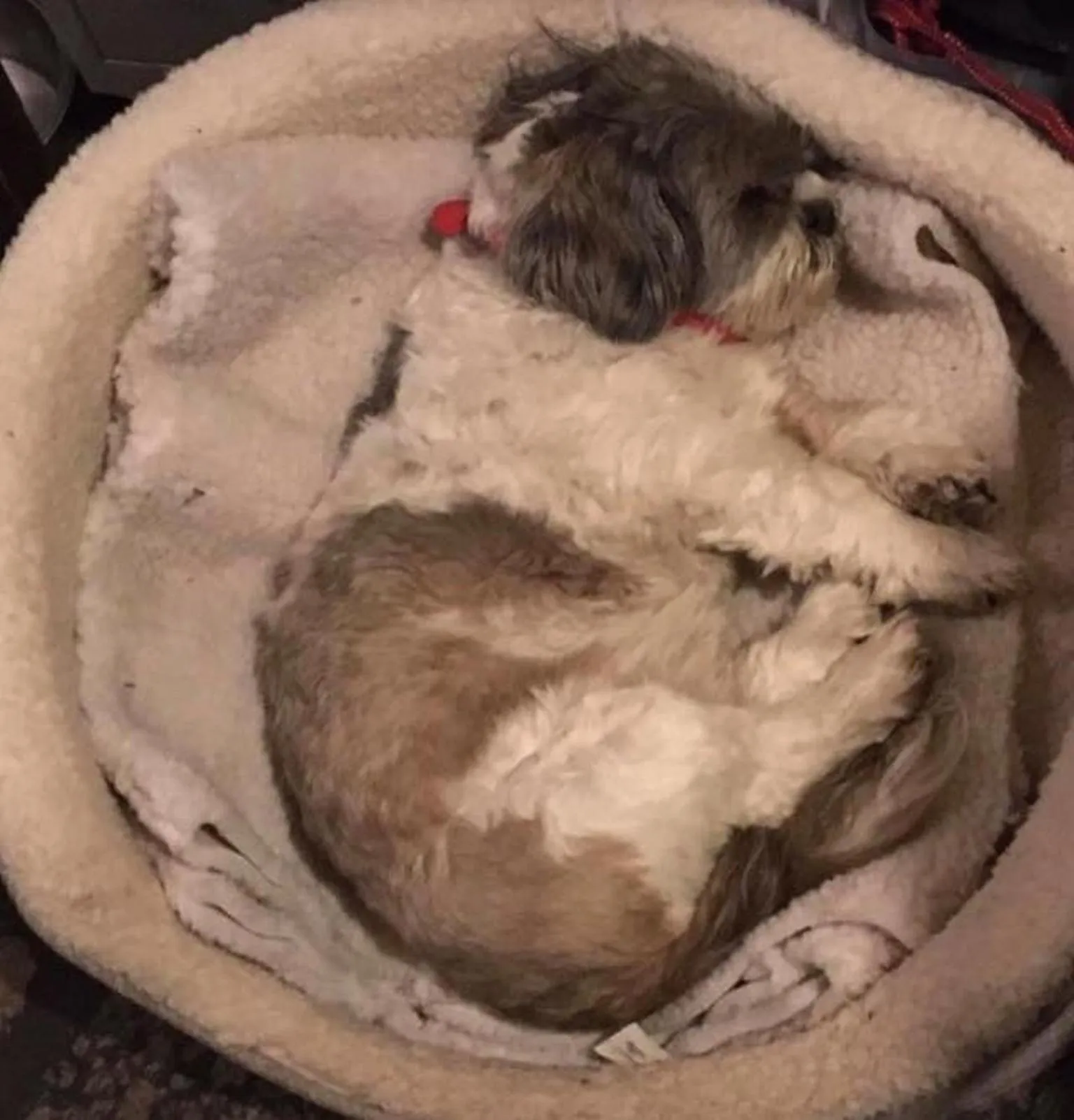 Other in Kestor Inn, Manaton, Dartmoor National Park, Newton Abbot, Devon