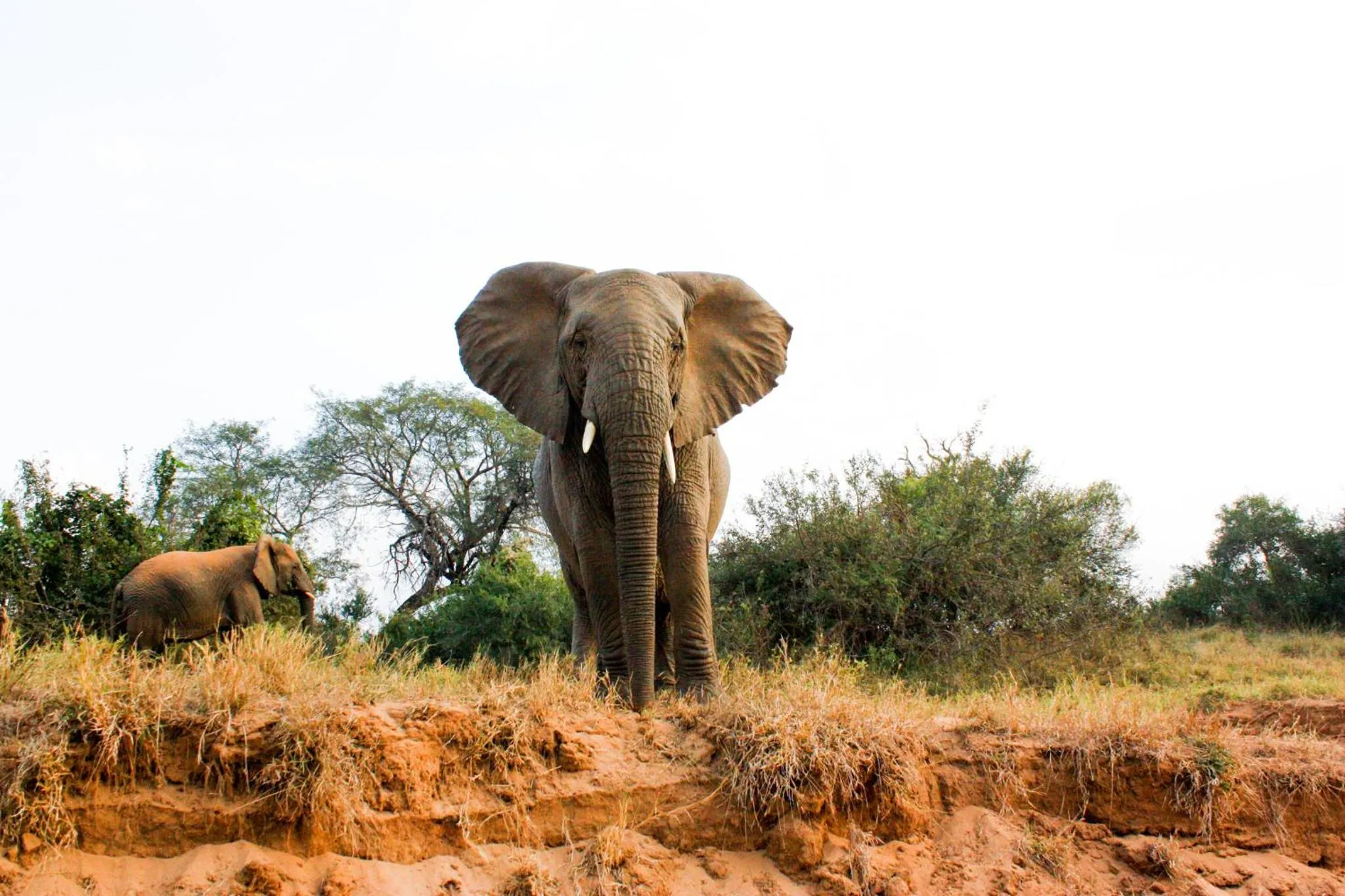 Activities in Karongwe River Lodge