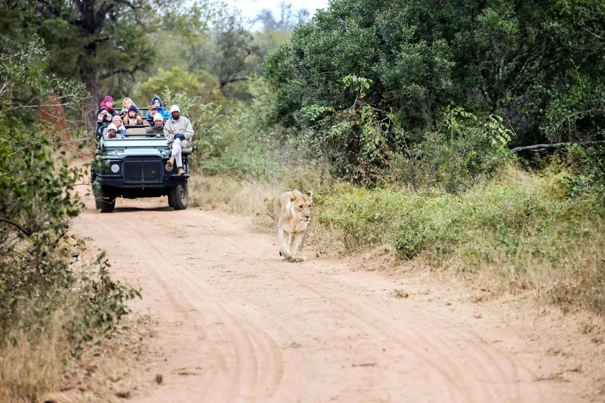 Day in Karongwe River Lodge