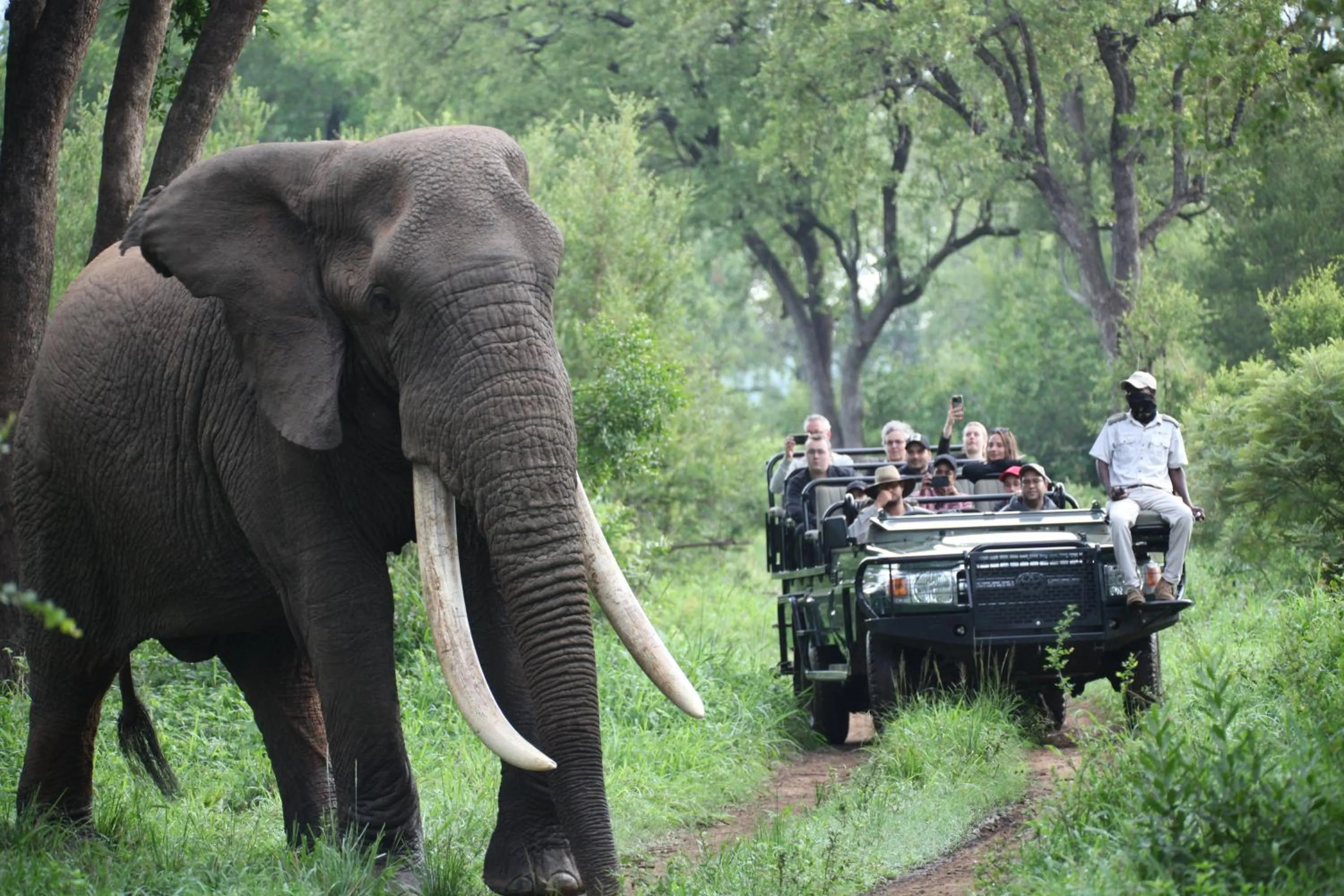 Property building in Karongwe River Lodge