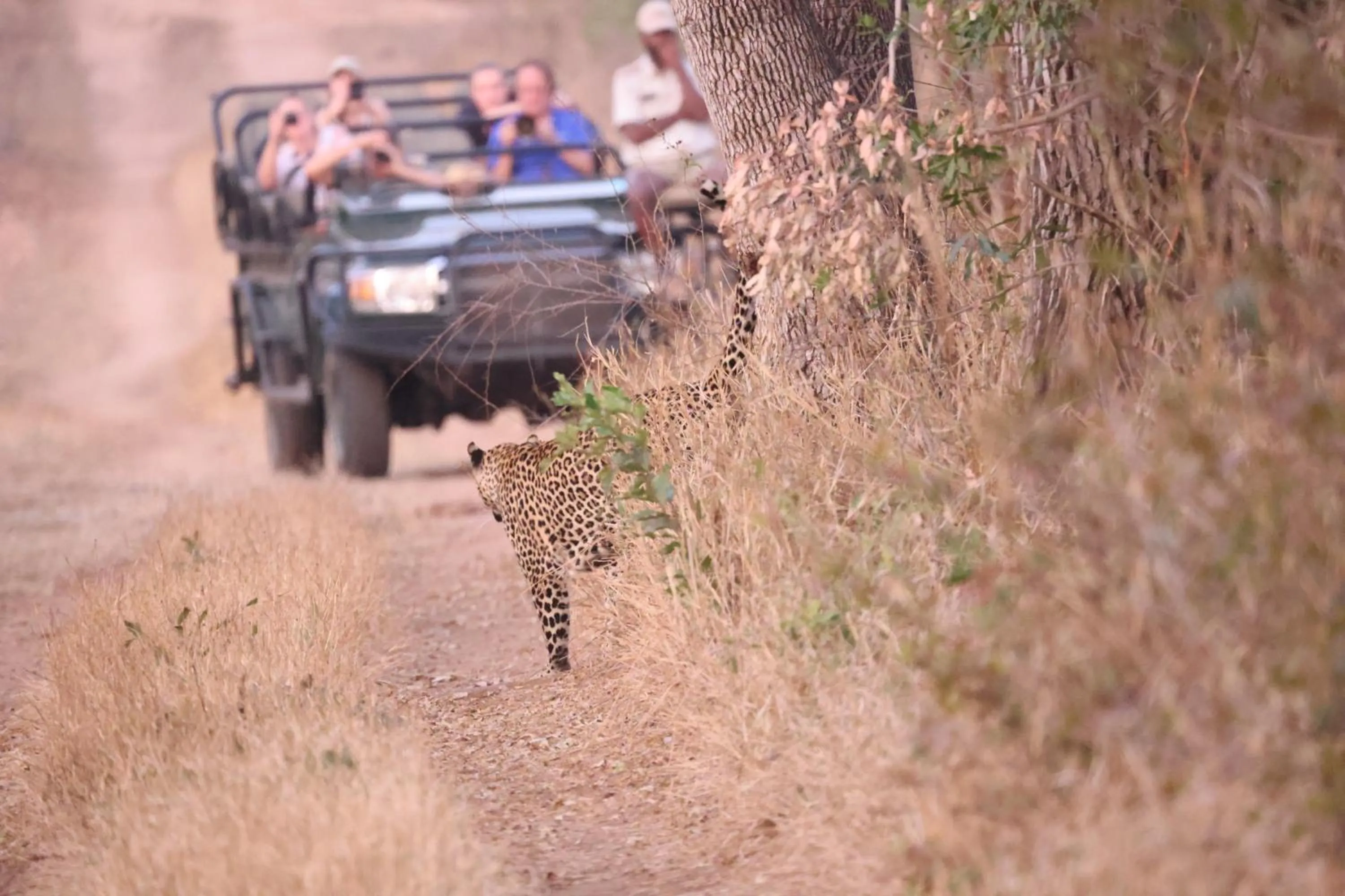Property building in Karongwe River Lodge