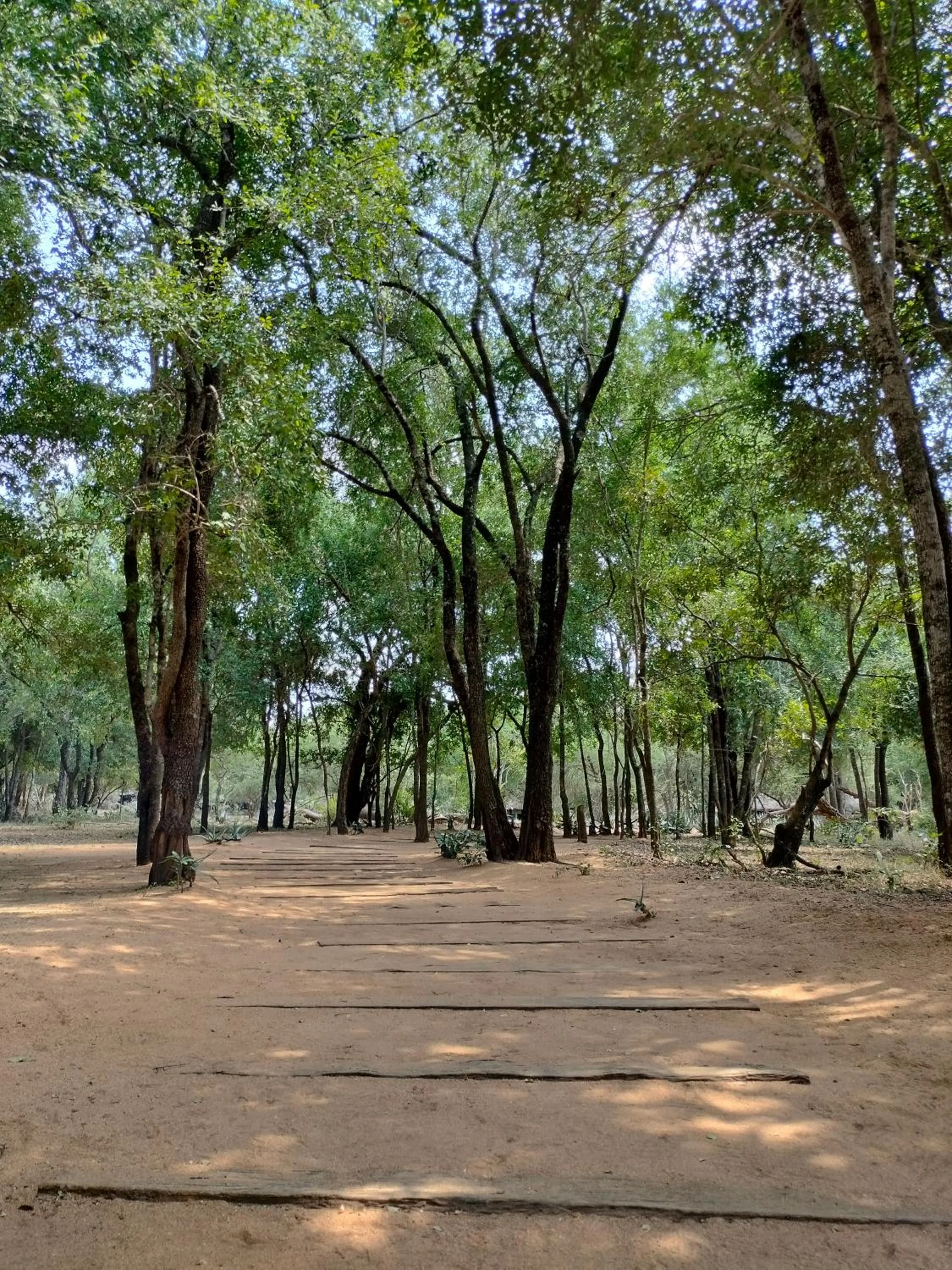 Property building in Karongwe River Lodge