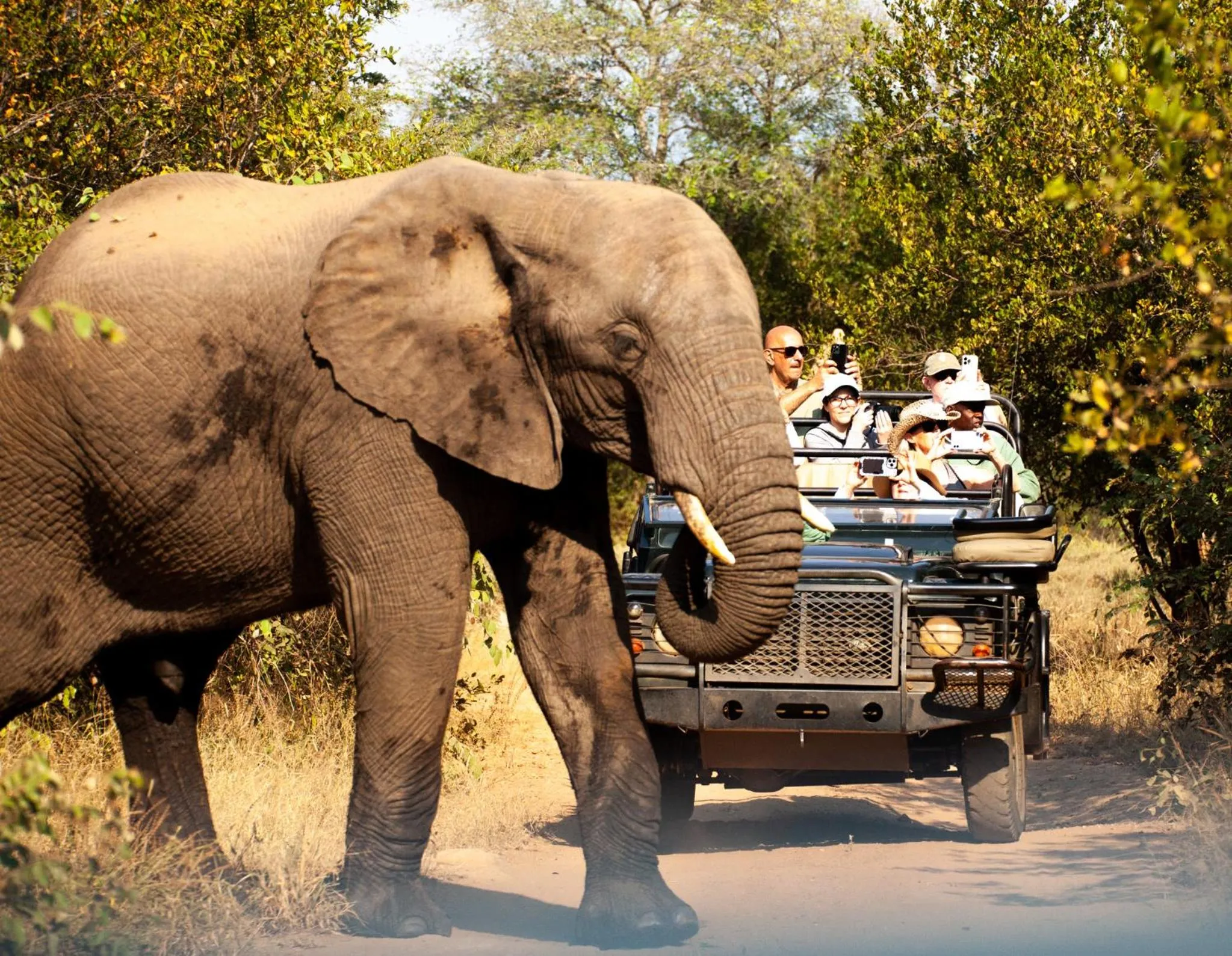 Property building in Karongwe River Lodge