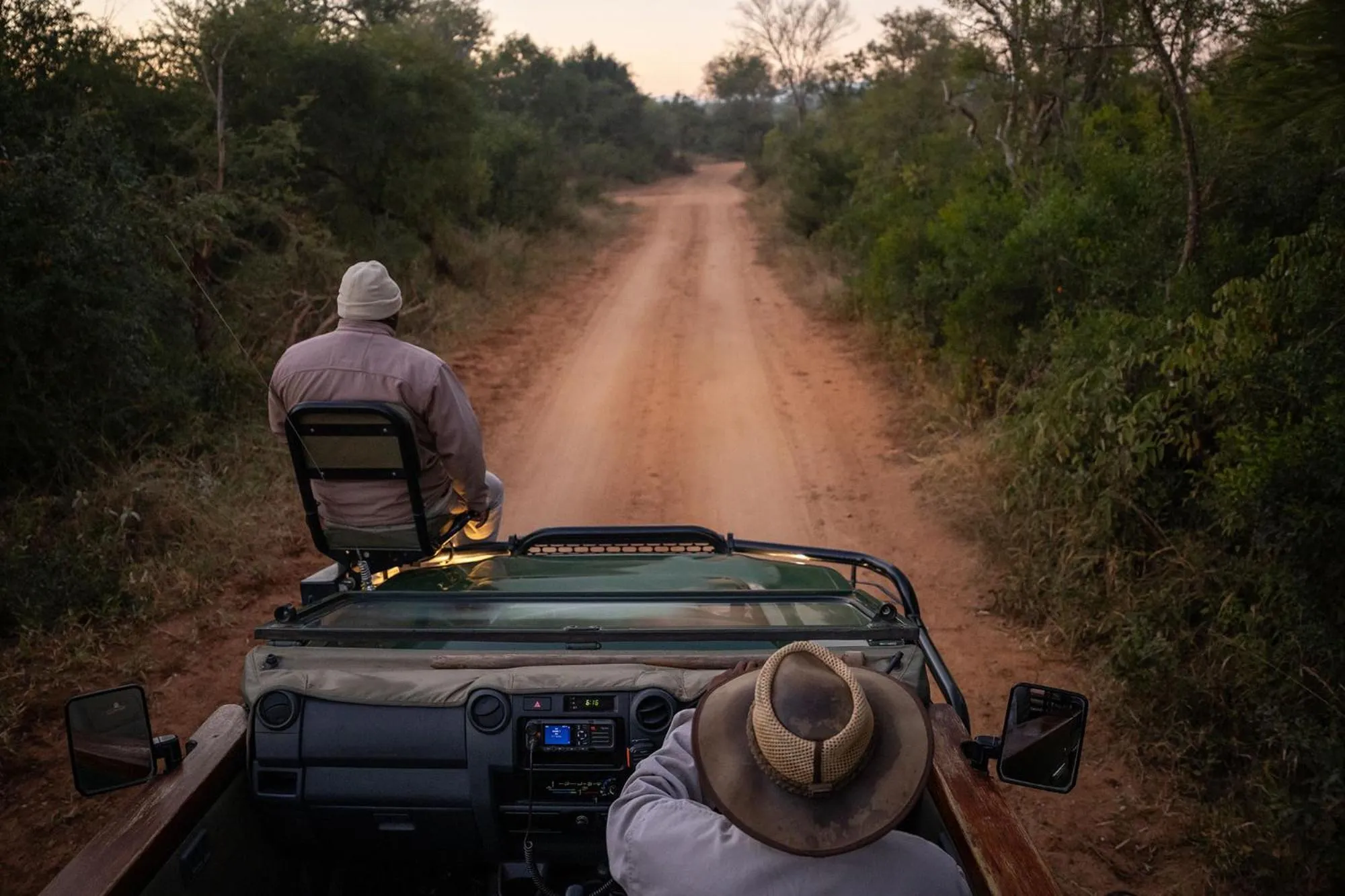 Animals in Karongwe - River Safari Lodge