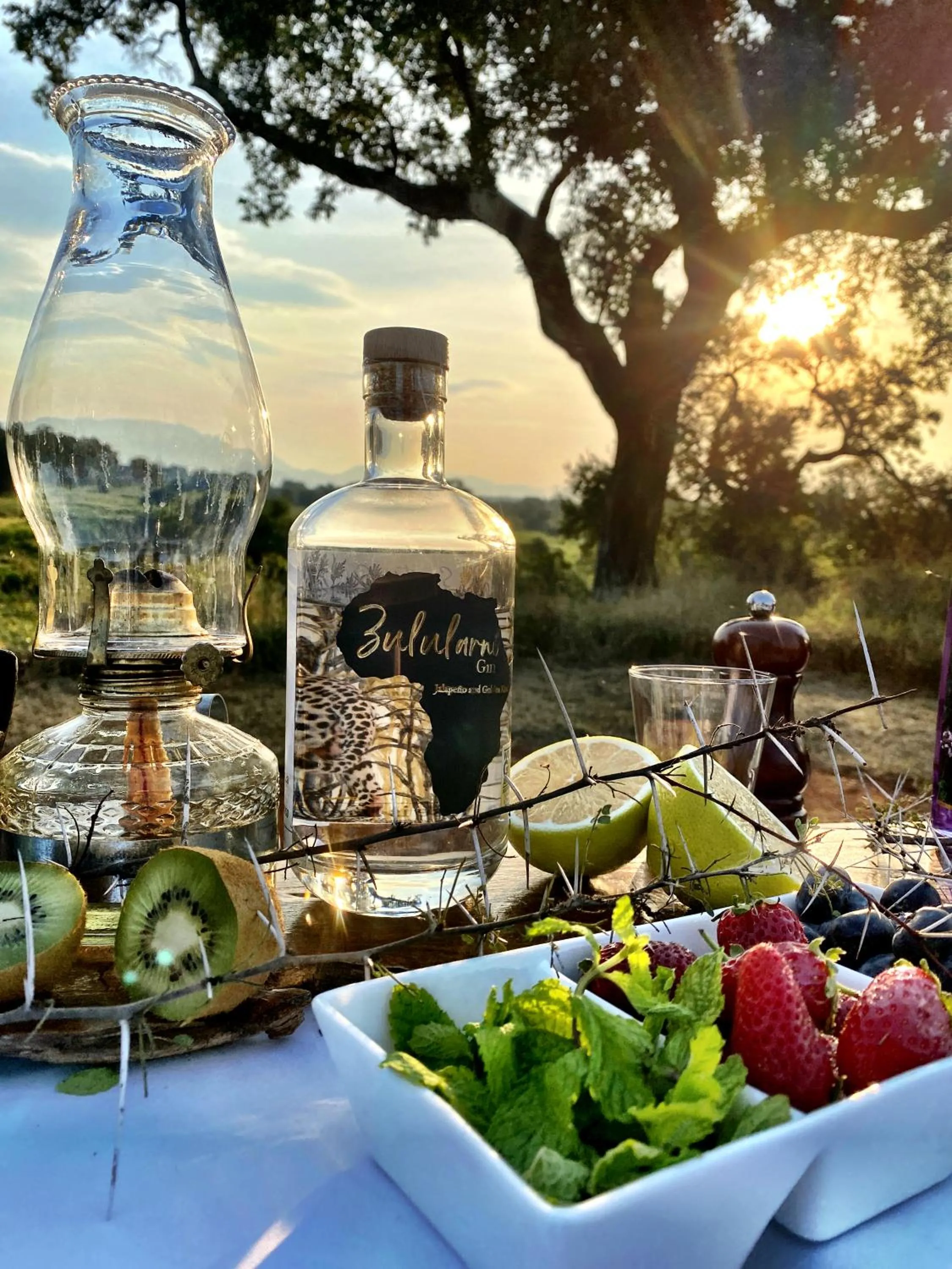 Property building in Karongwe River Lodge