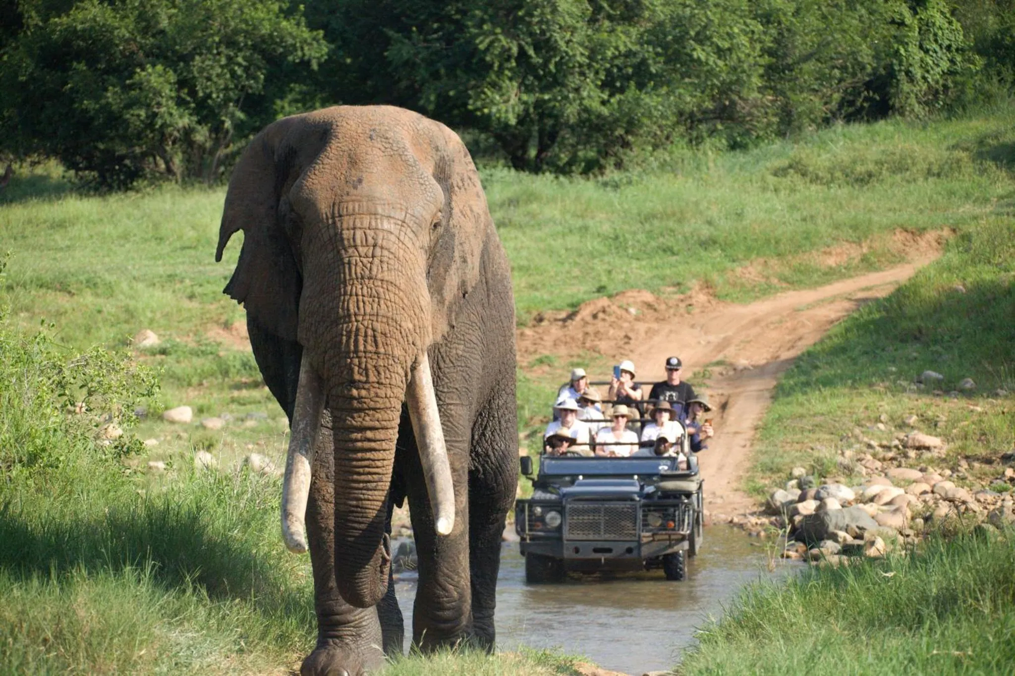 People in Karongwe River Lodge