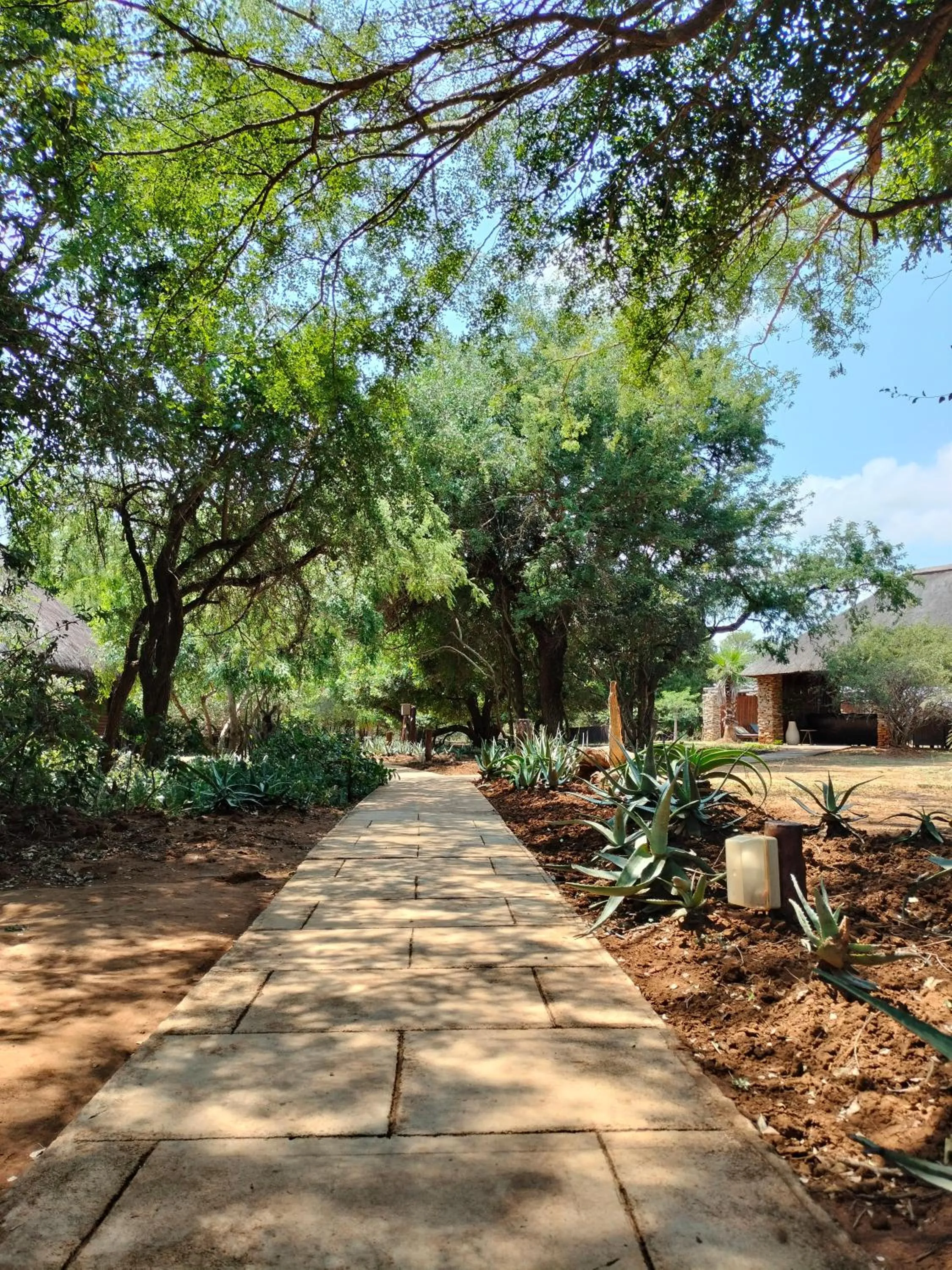Property building in Karongwe River Lodge
