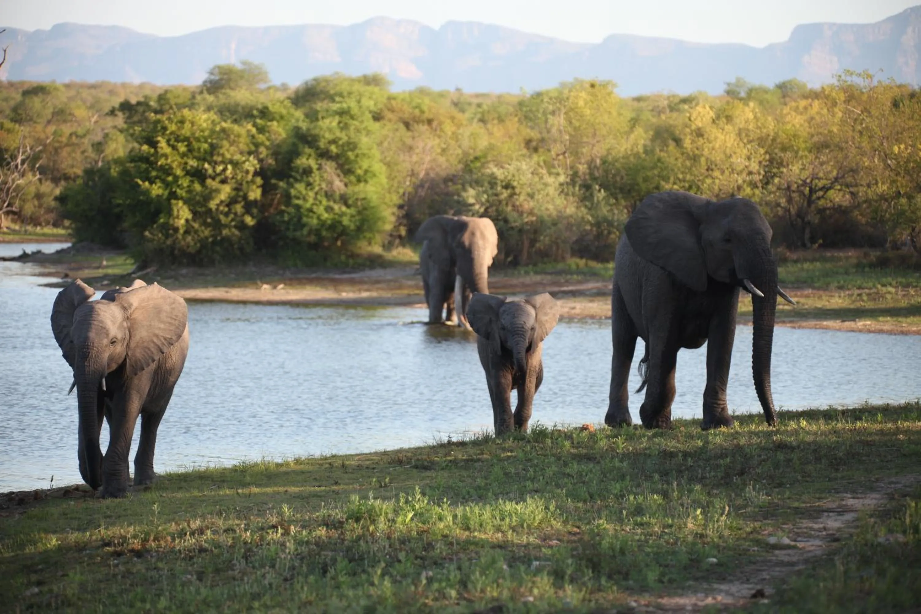 Property building in Karongwe River Lodge
