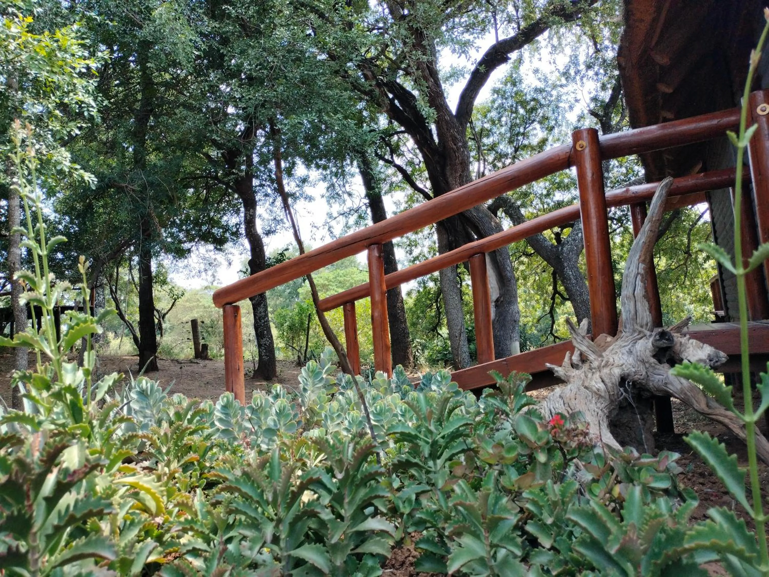 Property building in Karongwe River Lodge