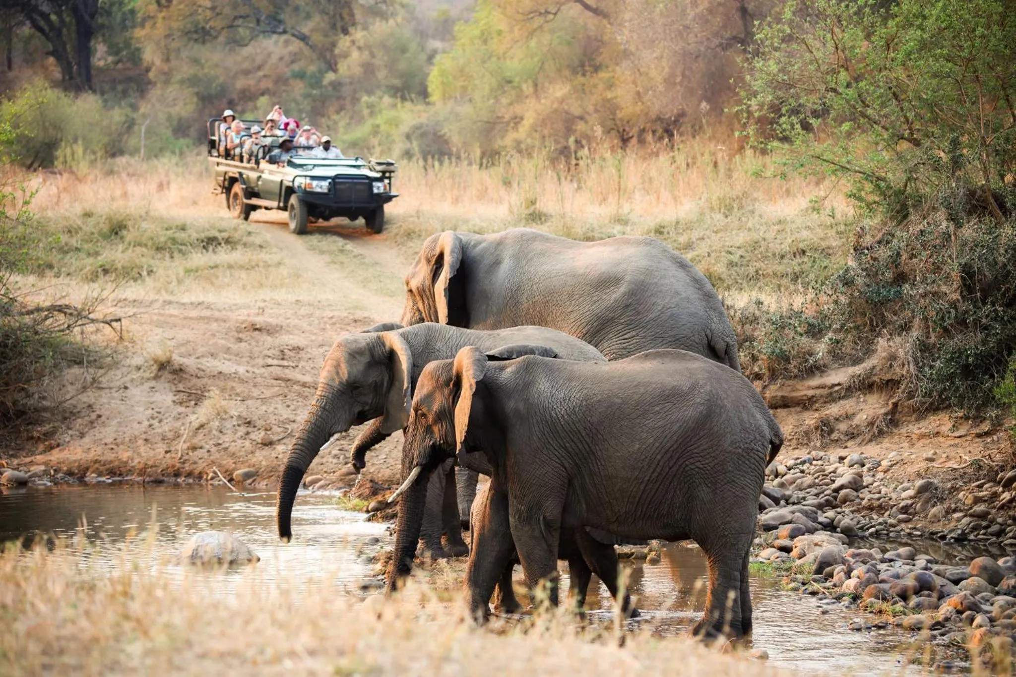 Property building in Karongwe River Lodge