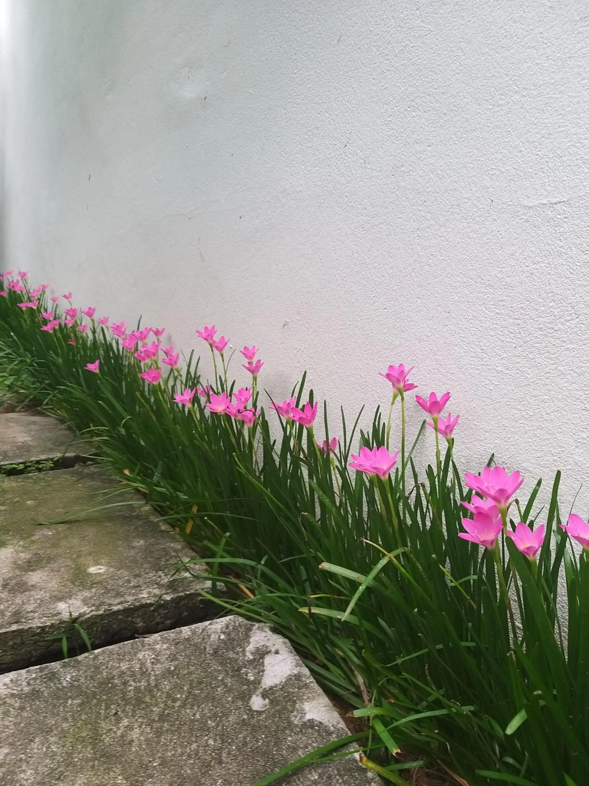 Breakfast in Starfruit villa Hoi An