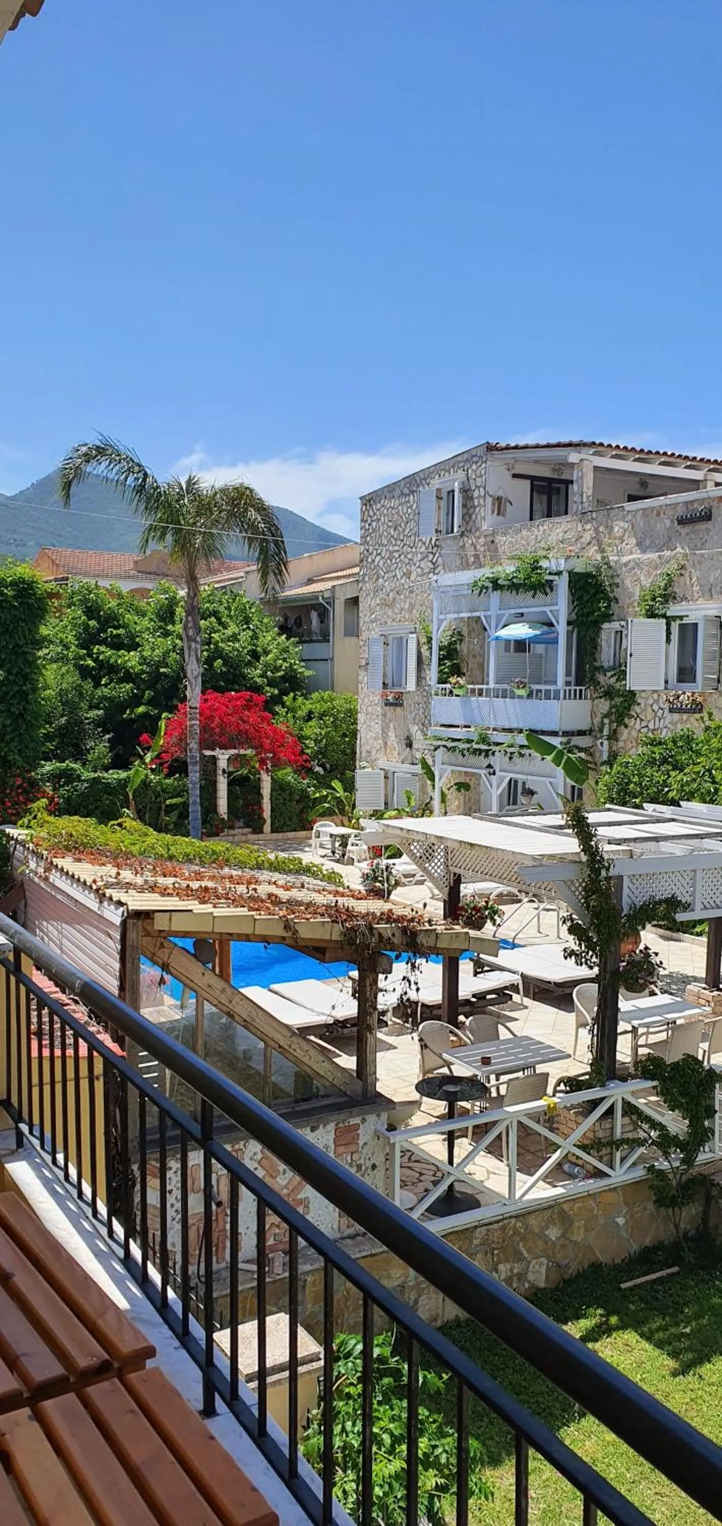 Pool view in Nicoll Apartments