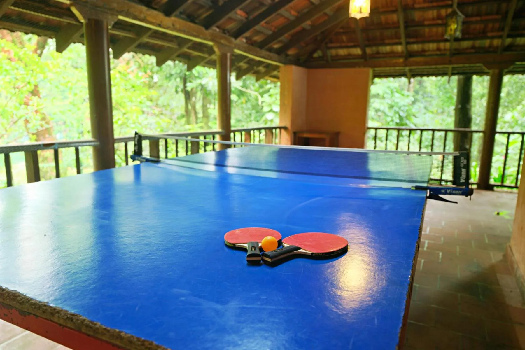 Table tennis in Vythiri Resort
