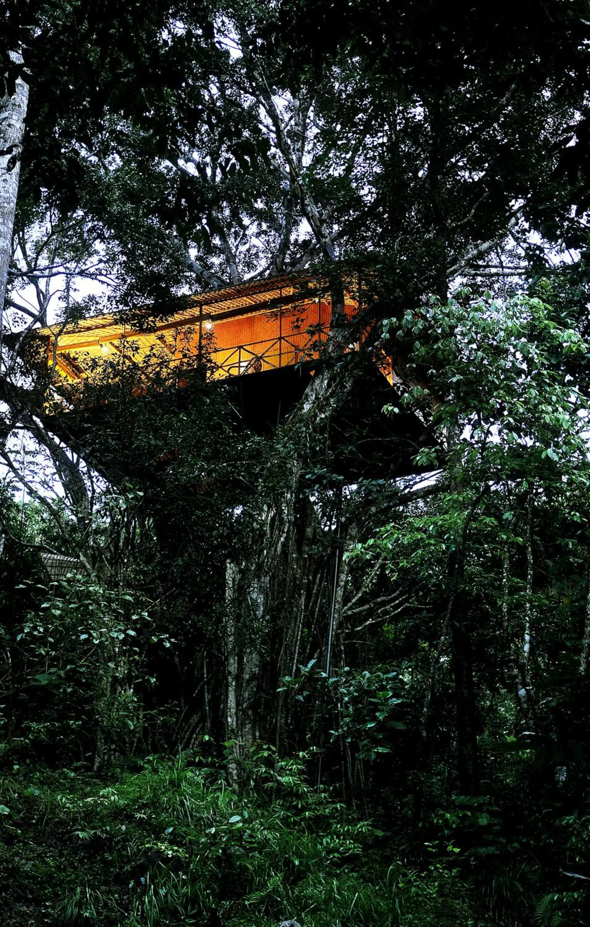 Natural landscape in Vythiri Resort