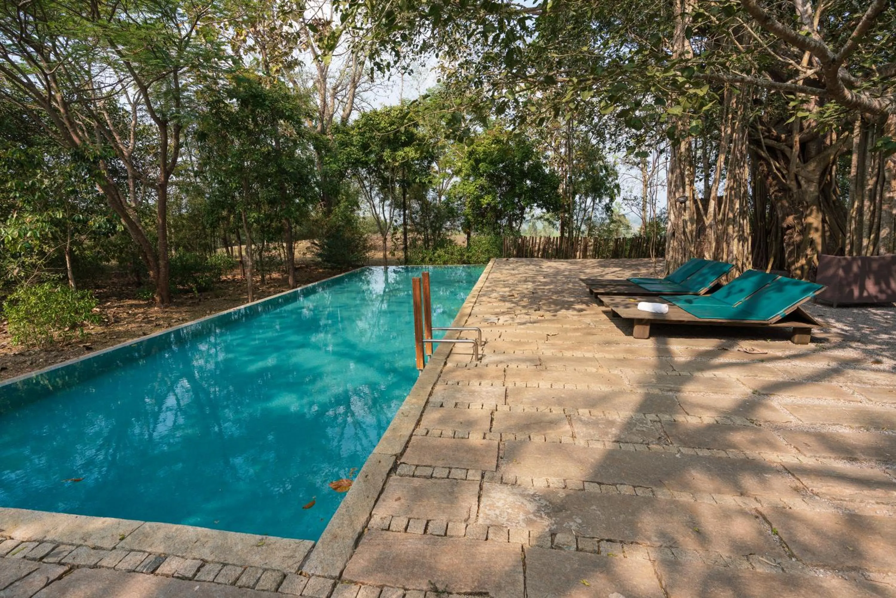 Swimming pool in Kaav Safari Lodge, Kabini