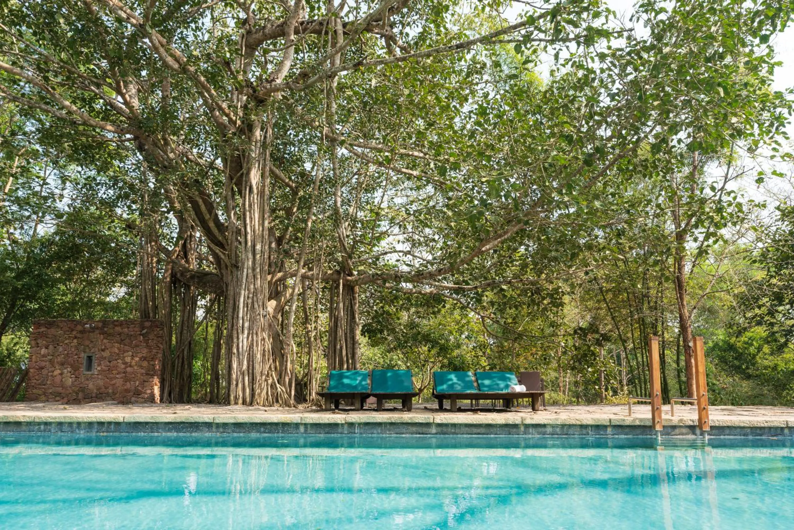 Swimming pool in Kaav Safari Lodge, Kabini