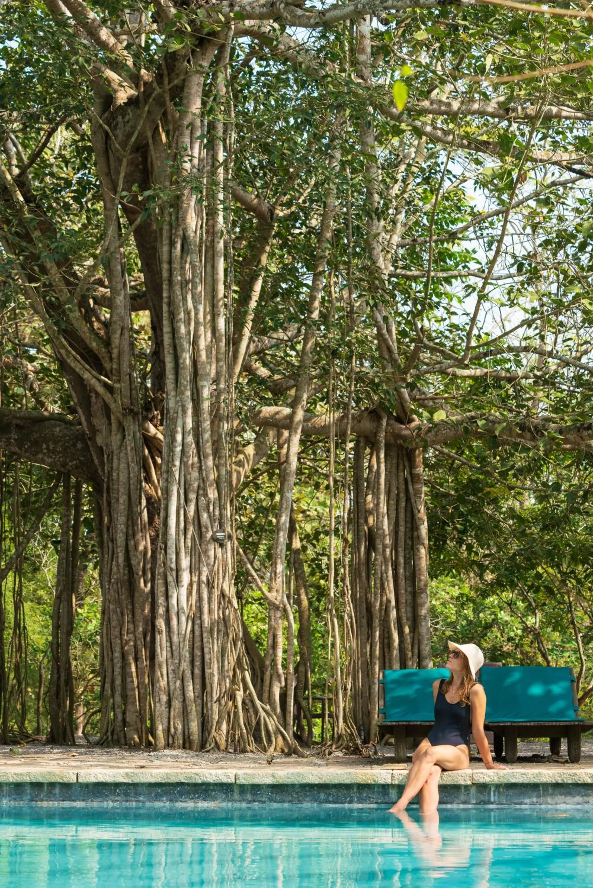 Kaav Safari Lodge, Kabini