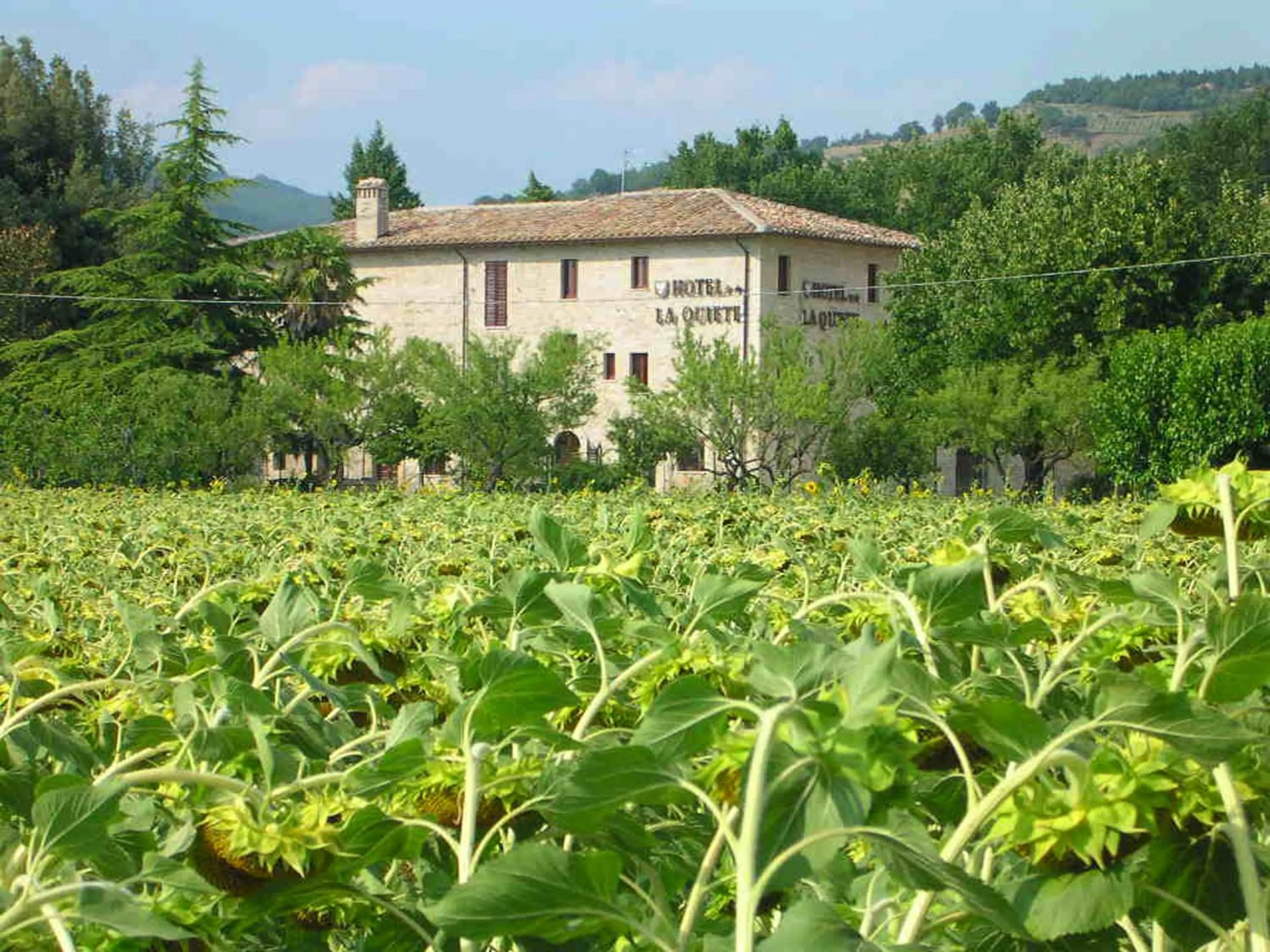 Facade/entrance in Hotel La Quiete
