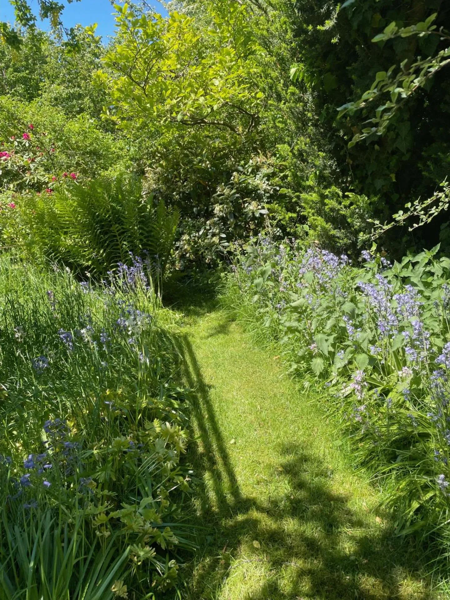 Garden in Trennegården B&B