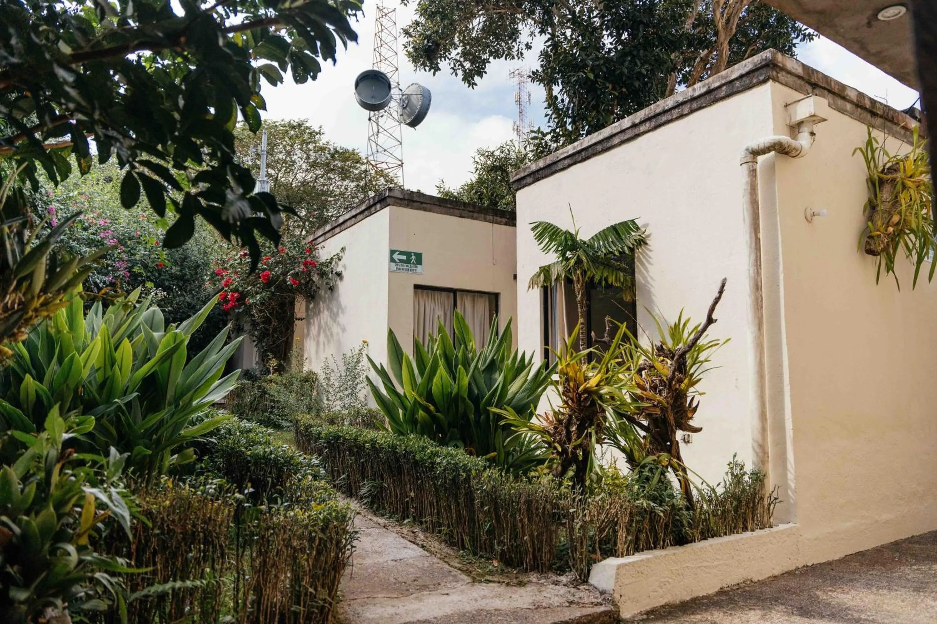 Garden in Casa 1800 Ataco Hotel Boutique