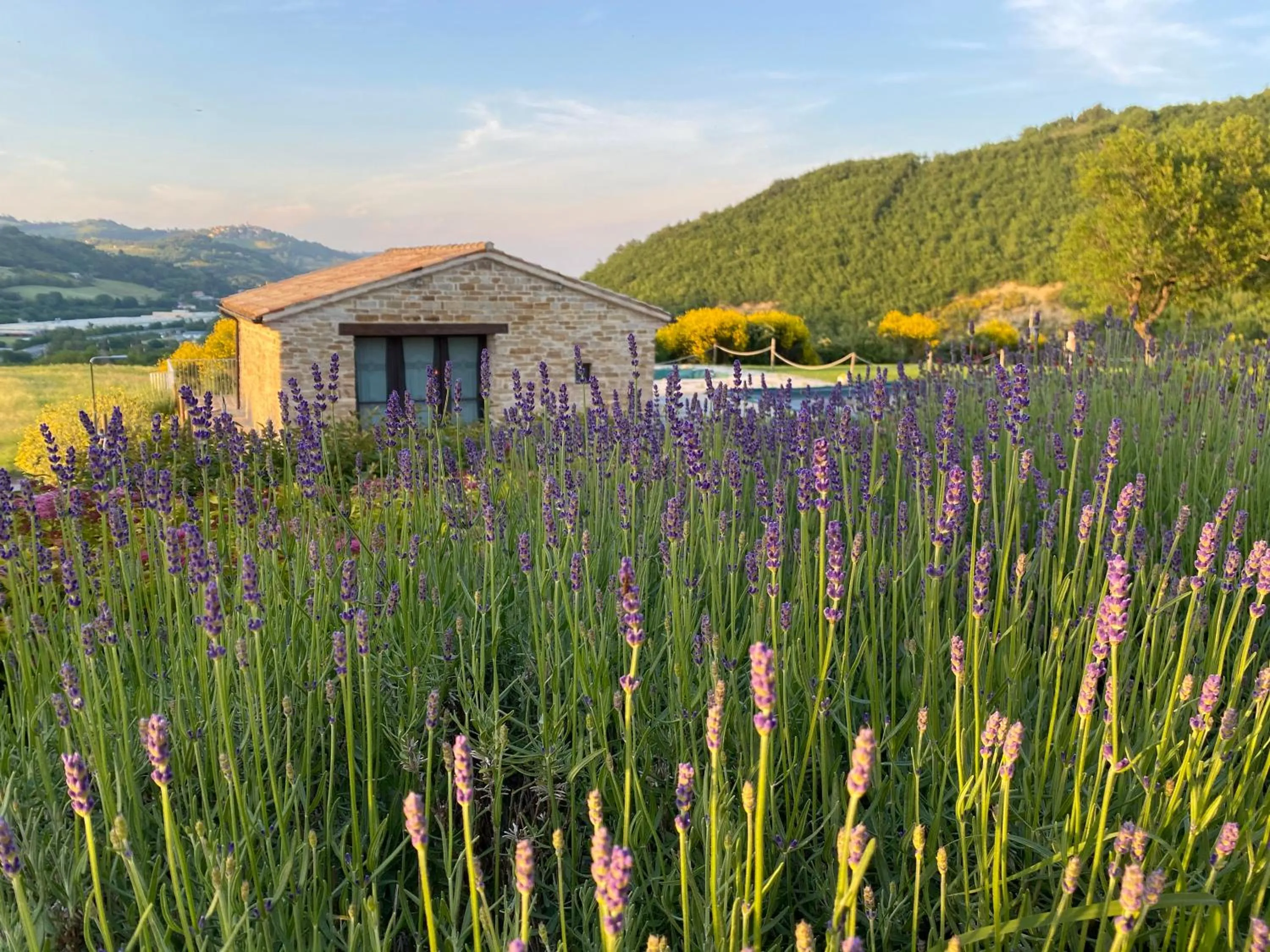 Natural landscape in Amico Country House