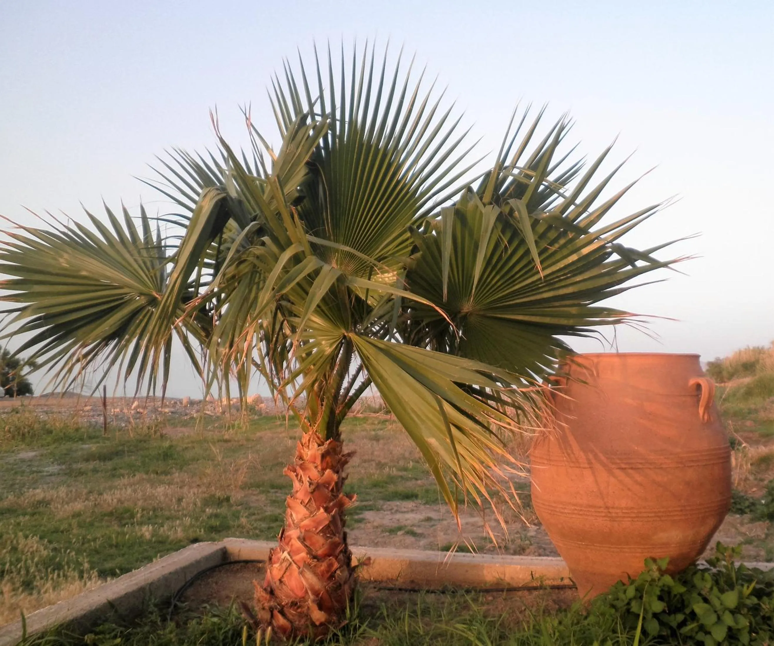 Sea view in Haridimos Apartments