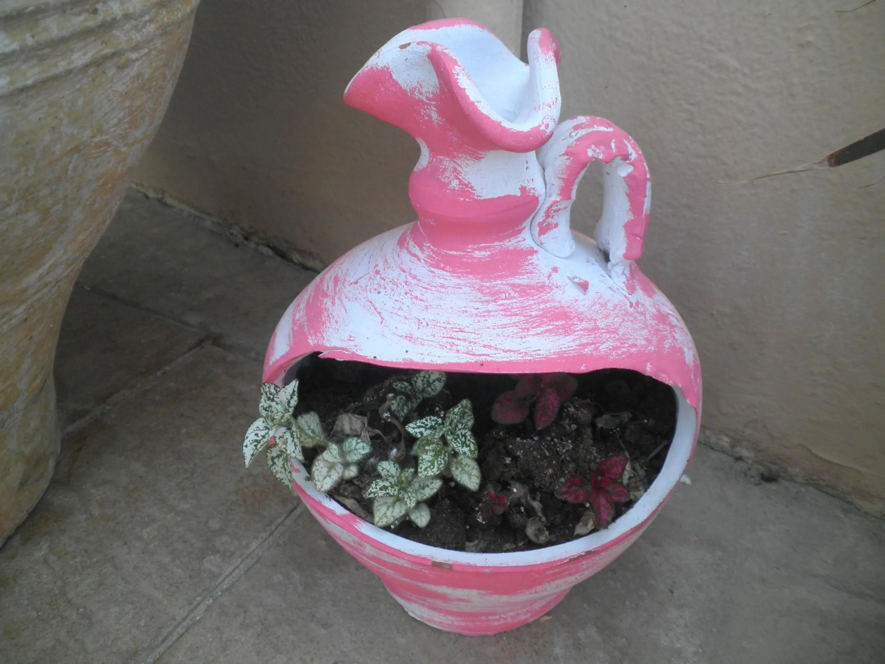 Garden in Haridimos Apartments