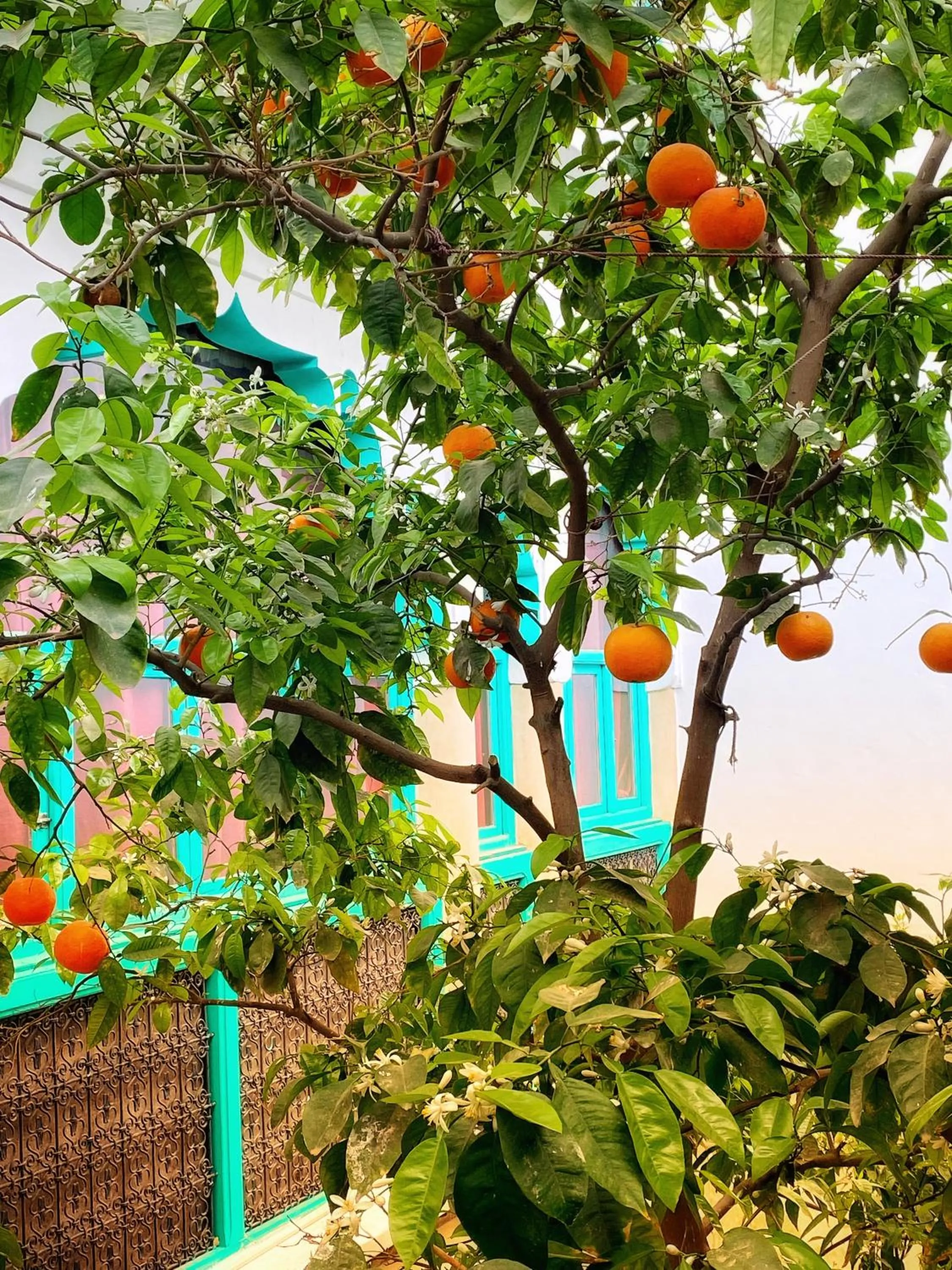 Patio in Riad Al Nour