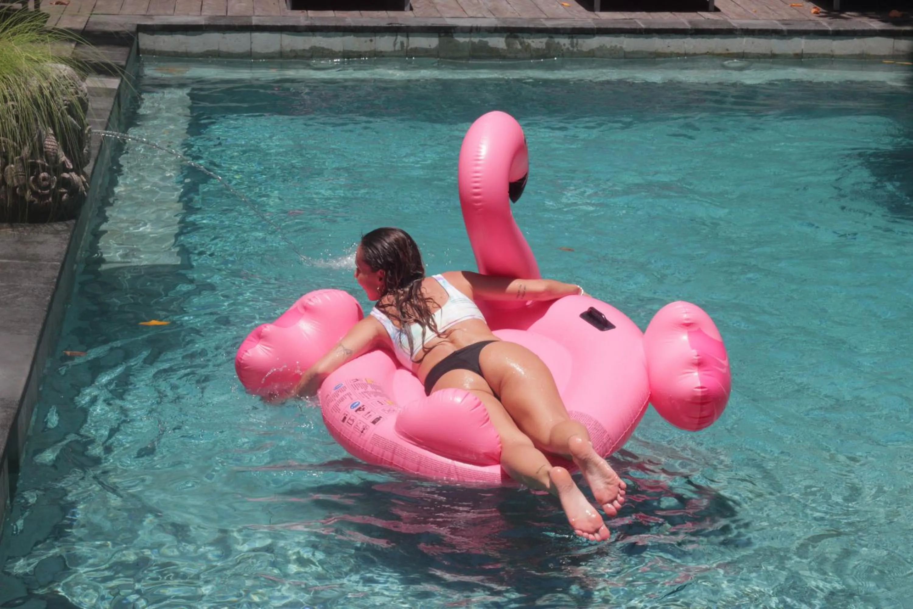 Swimming pool in Lushy Hostel Canggu