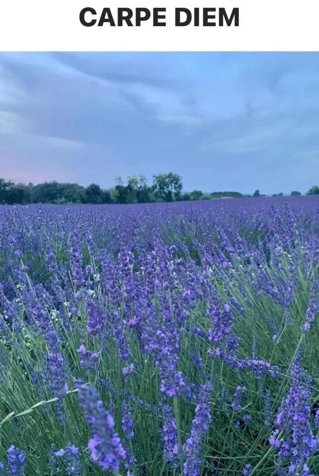 « CARPE DIEM »