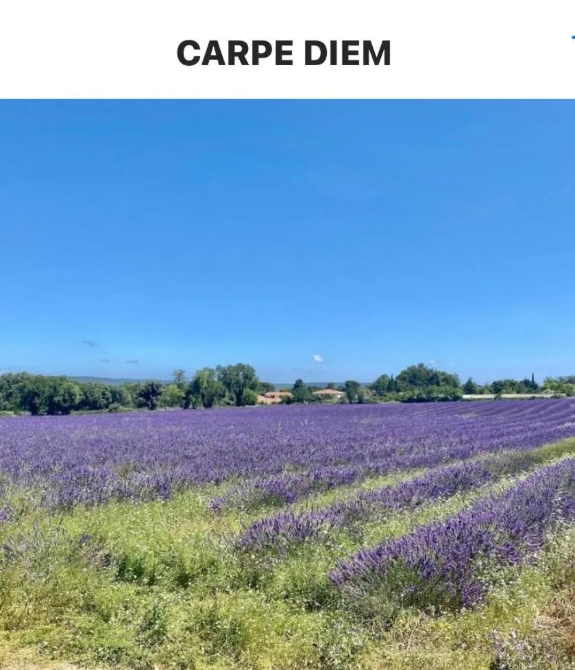 « CARPE DIEM »