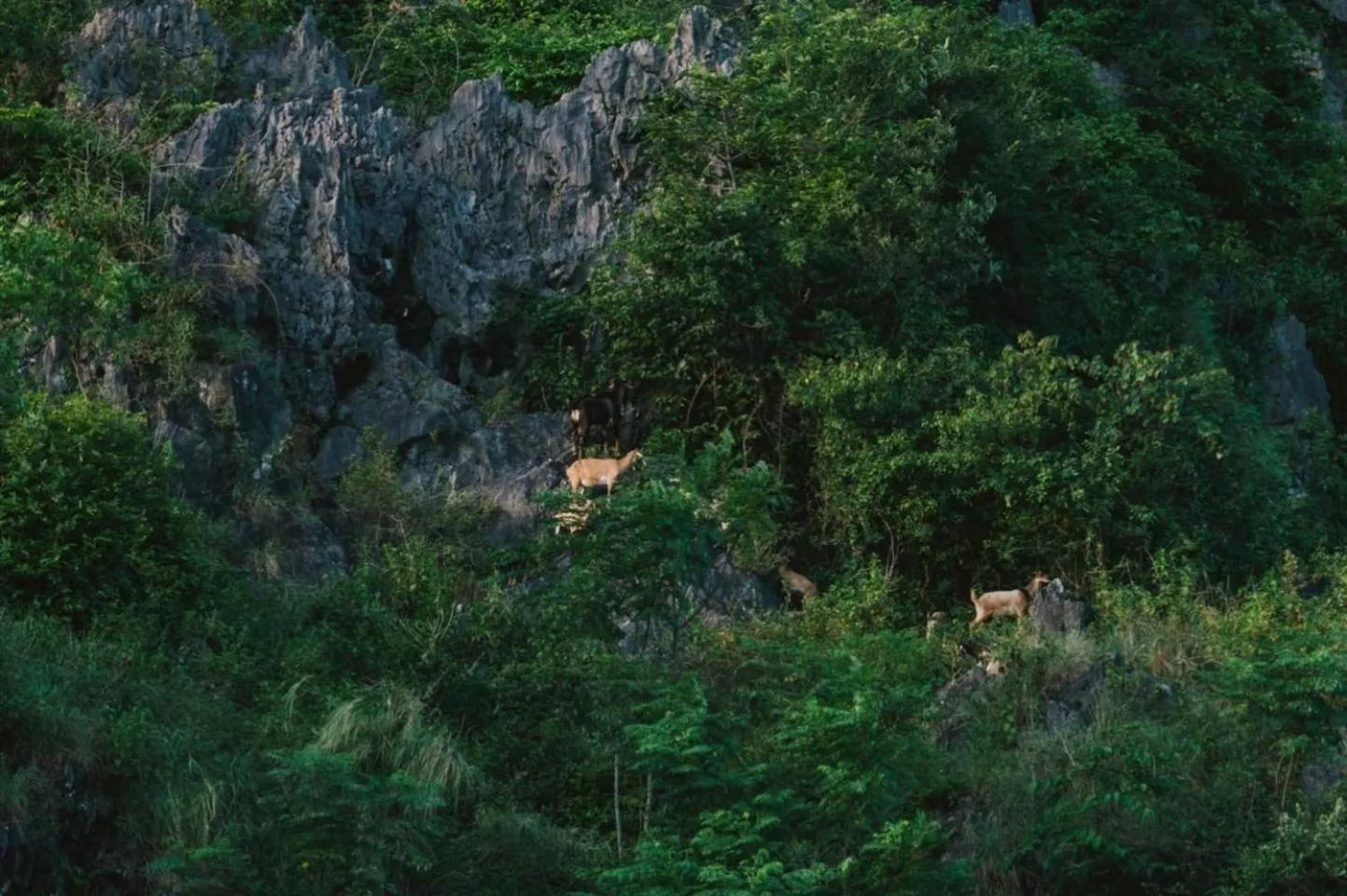Garden in Lalita Tam Coc Resort & Spa
