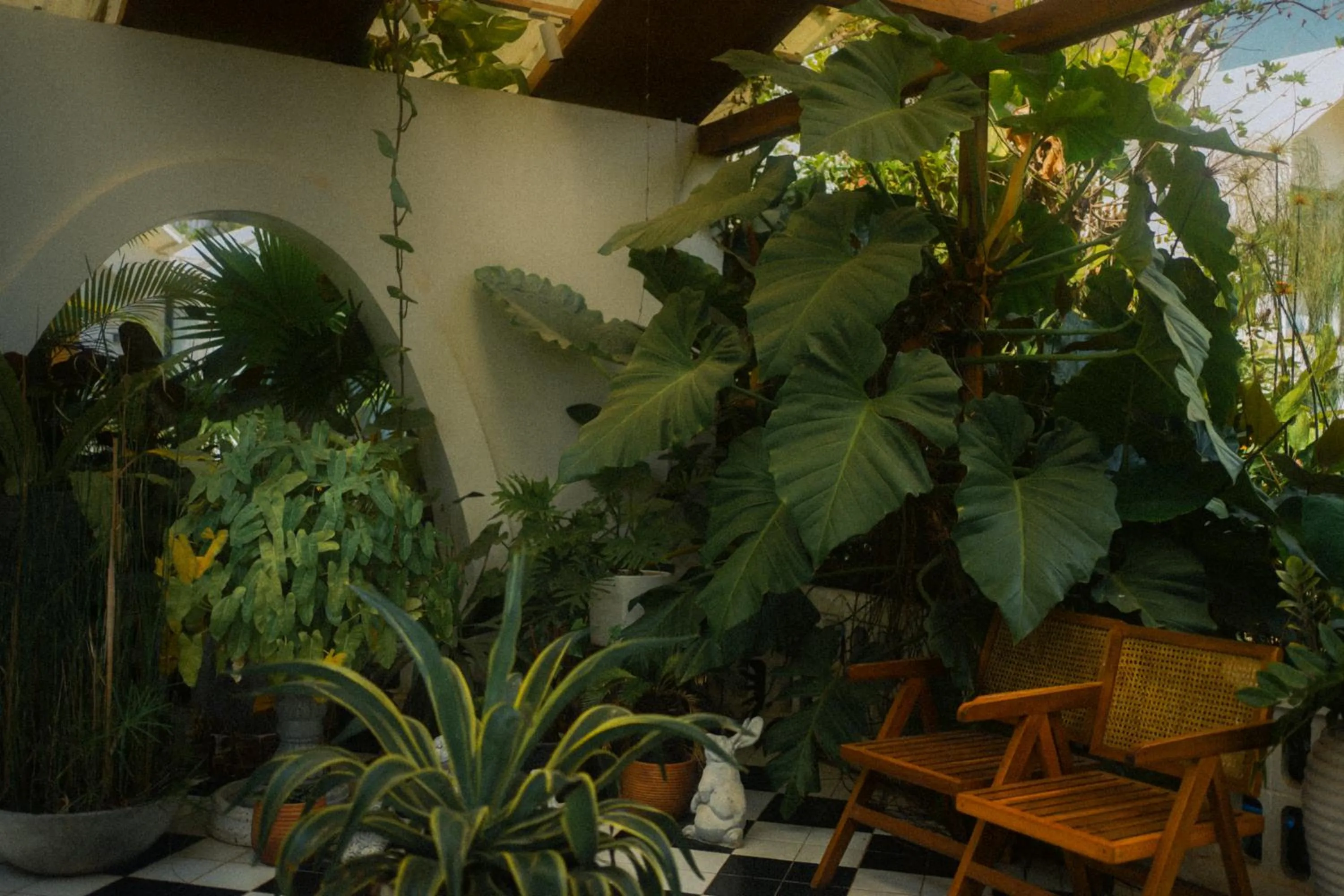 Garden in Montagne Residence