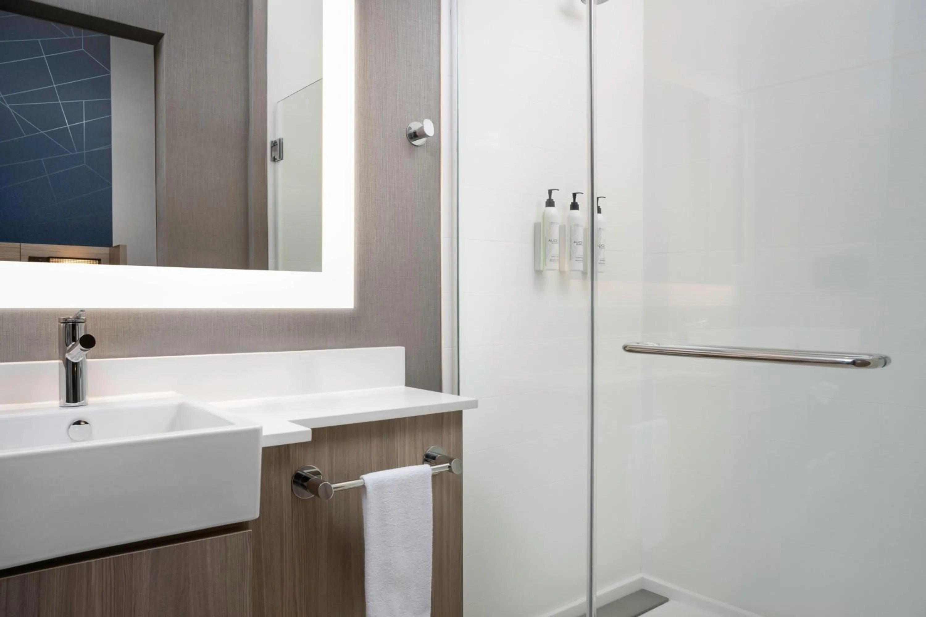 Bathroom in SpringHill Suites by Marriott Birmingham Gardendale