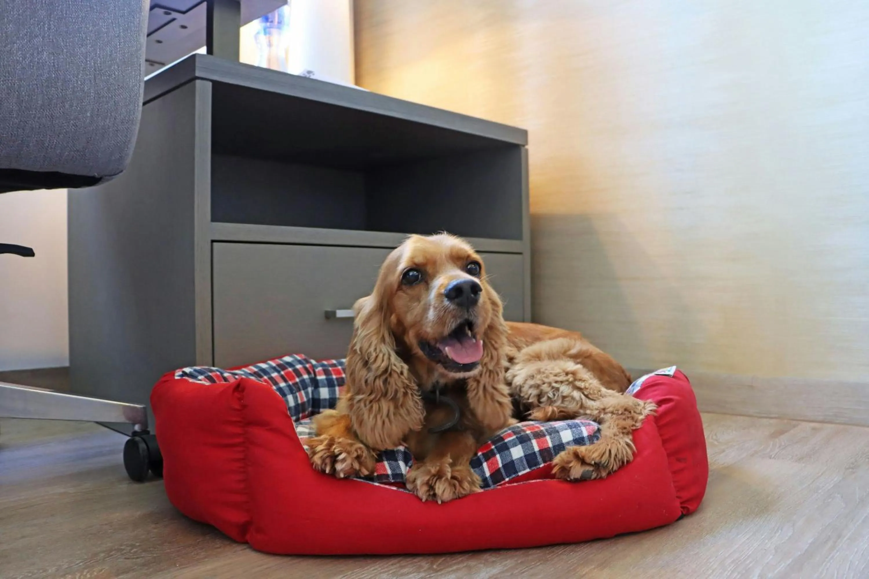 Photo of the whole room in Residence Inn by Marriott Cancun Hotel Zone