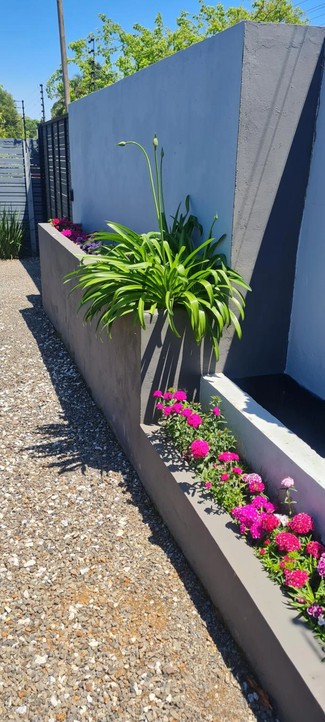 Garden in Mosswood Bed & Breakfast