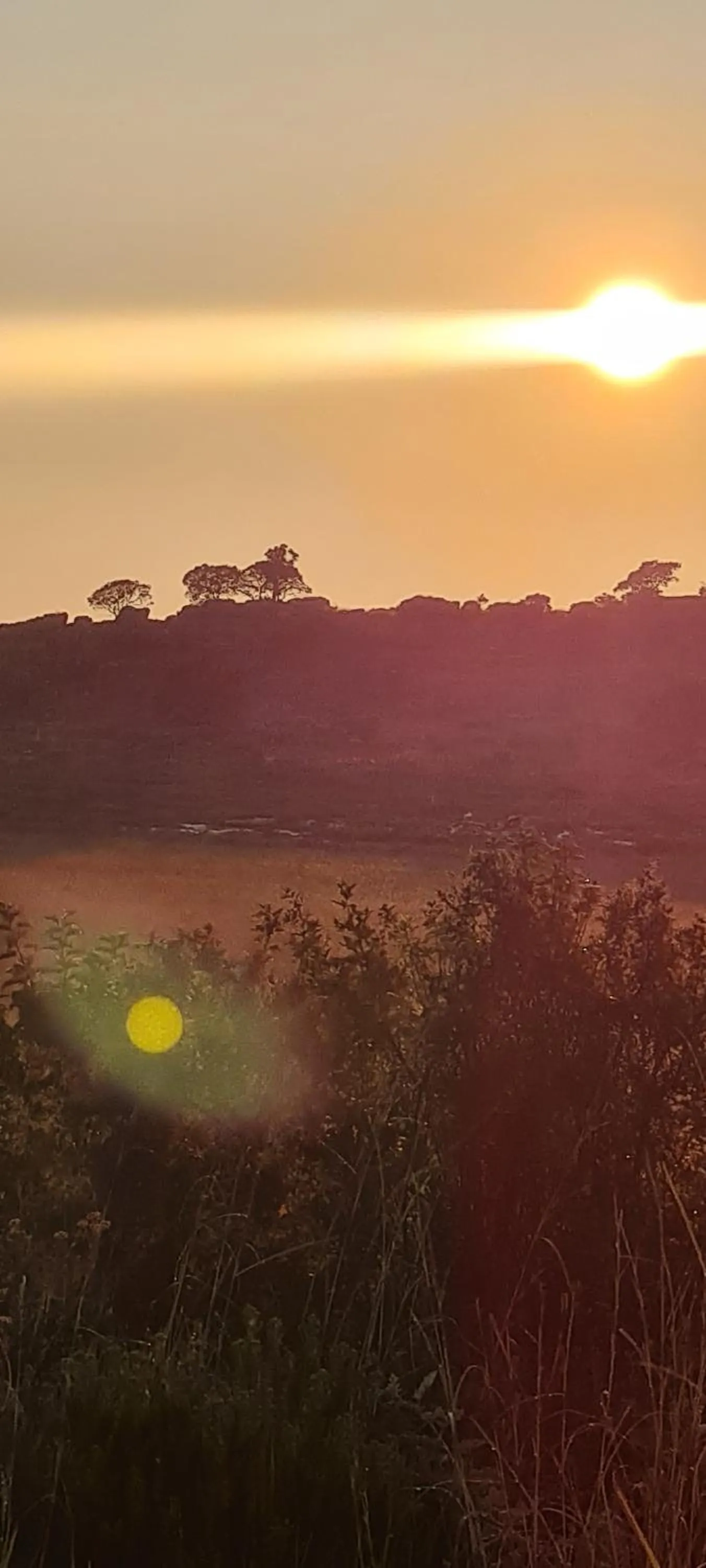 Natural landscape in Mosswood Bed & Breakfast