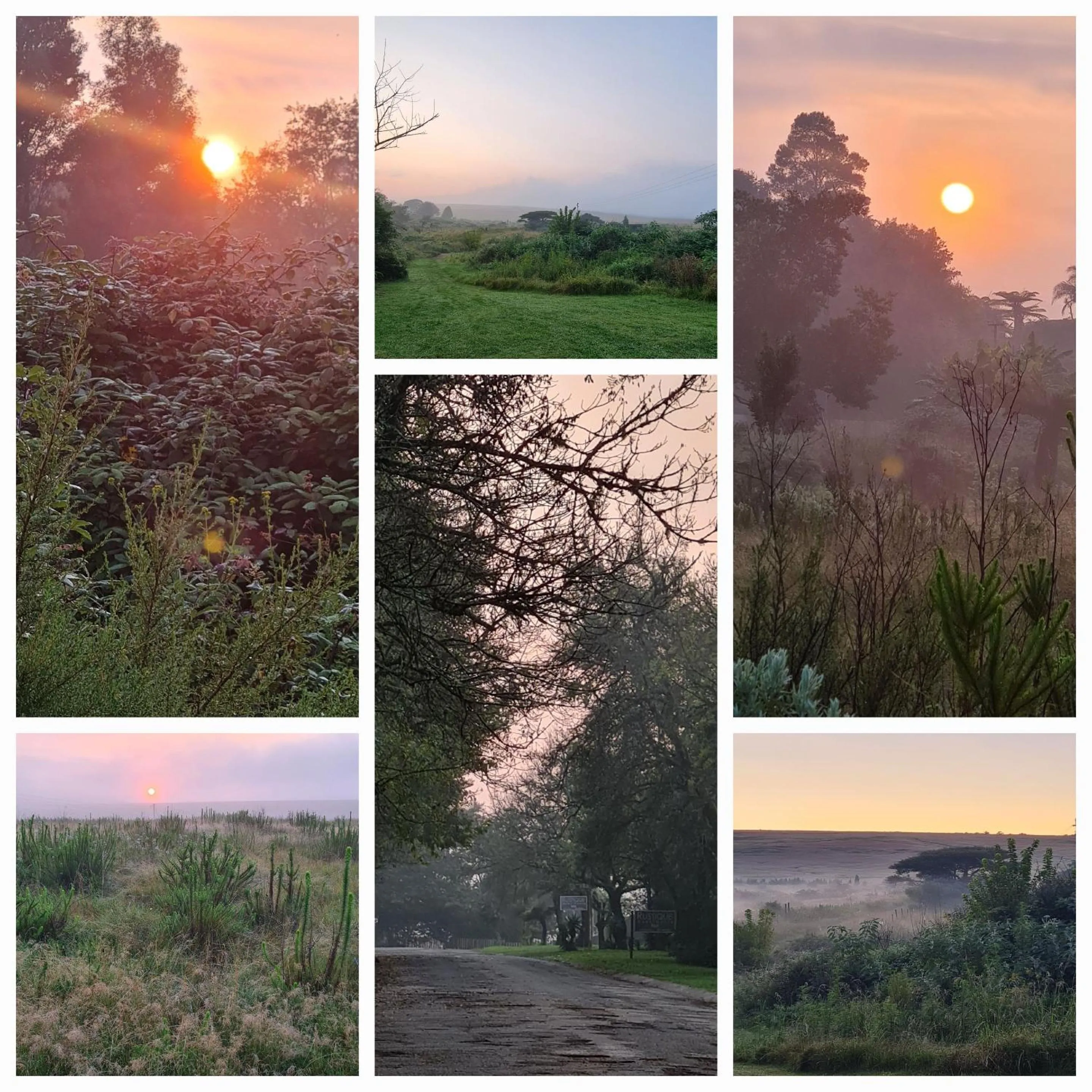 Neighbourhood in Mosswood Bed & Breakfast