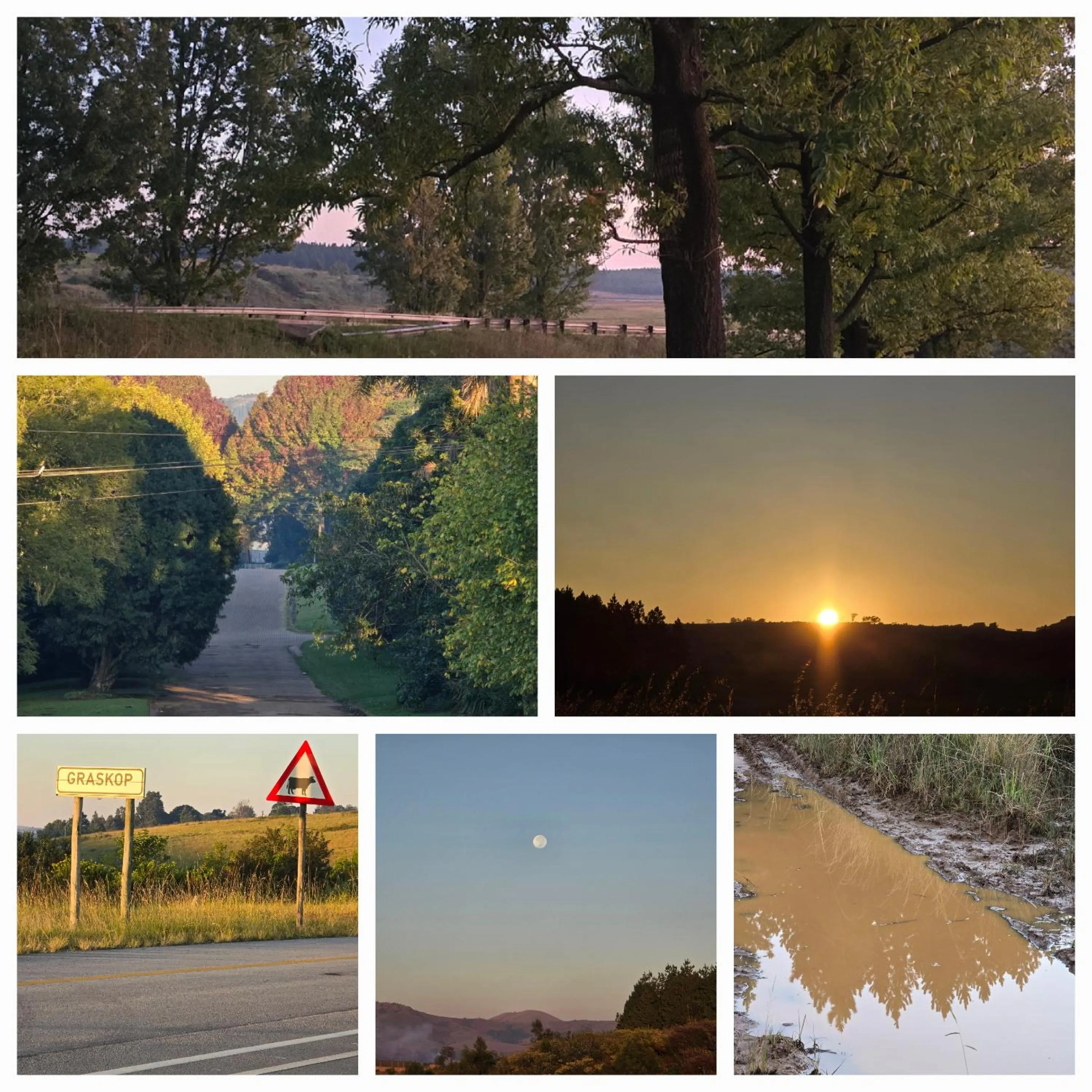 Natural landscape in Mosswood Bed & Breakfast