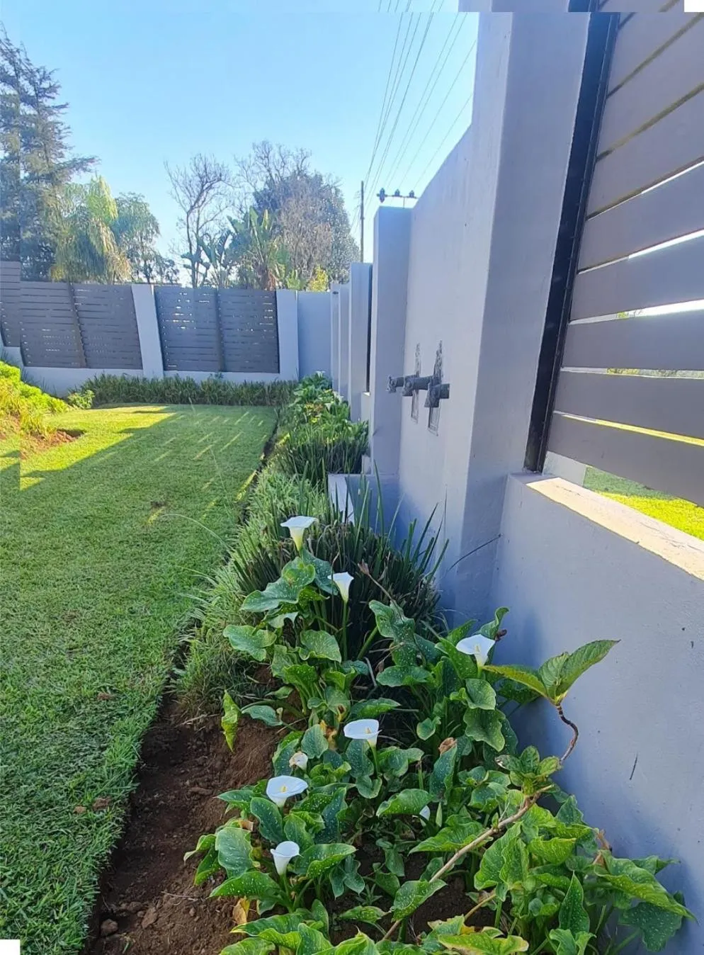 Day in Mosswood Bed & Breakfast