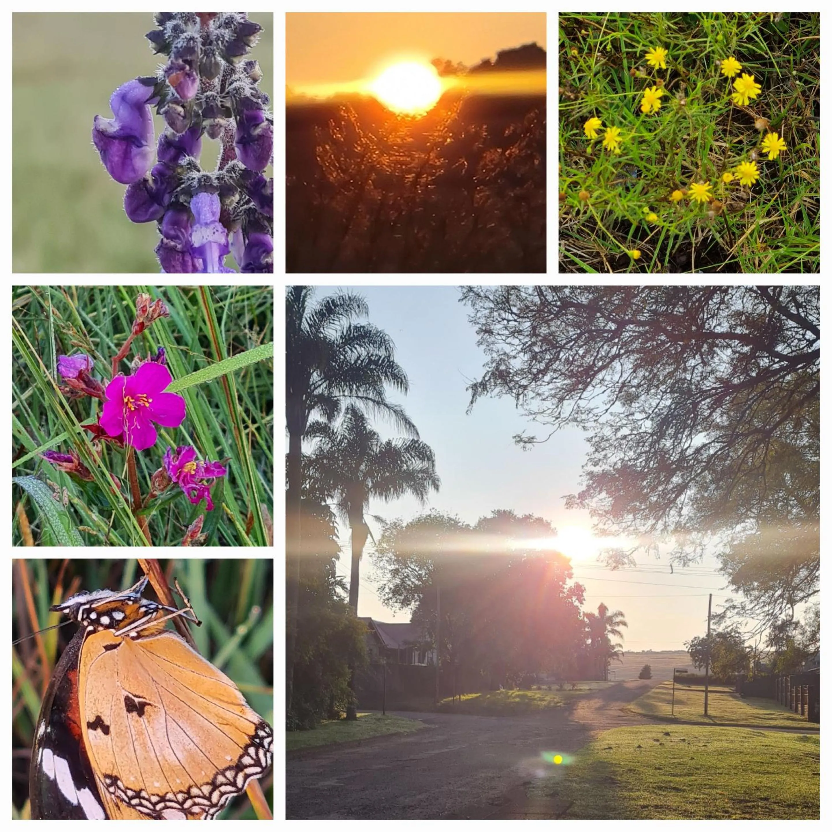 Neighbourhood in Mosswood Bed & Breakfast