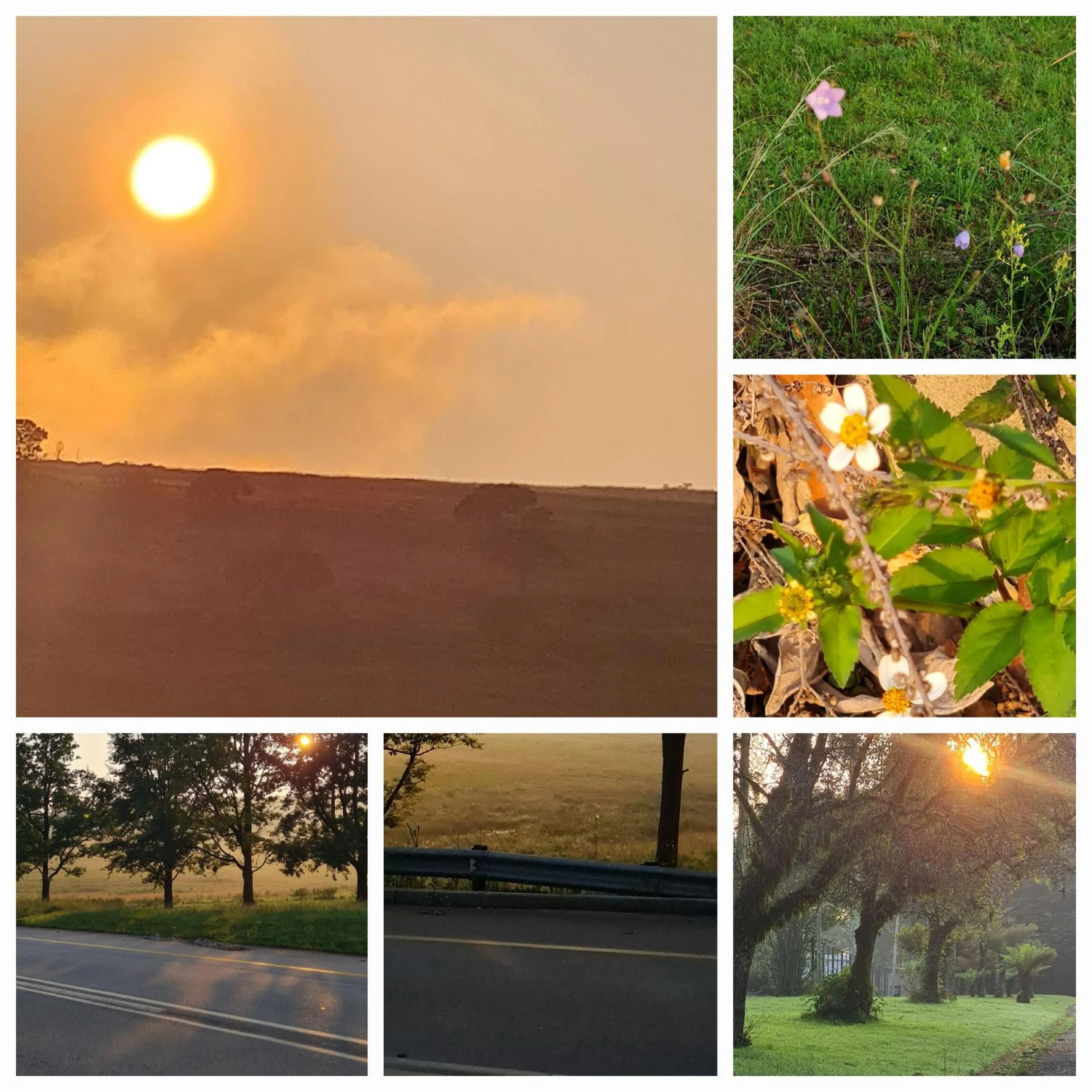 Natural landscape in Mosswood Bed & Breakfast