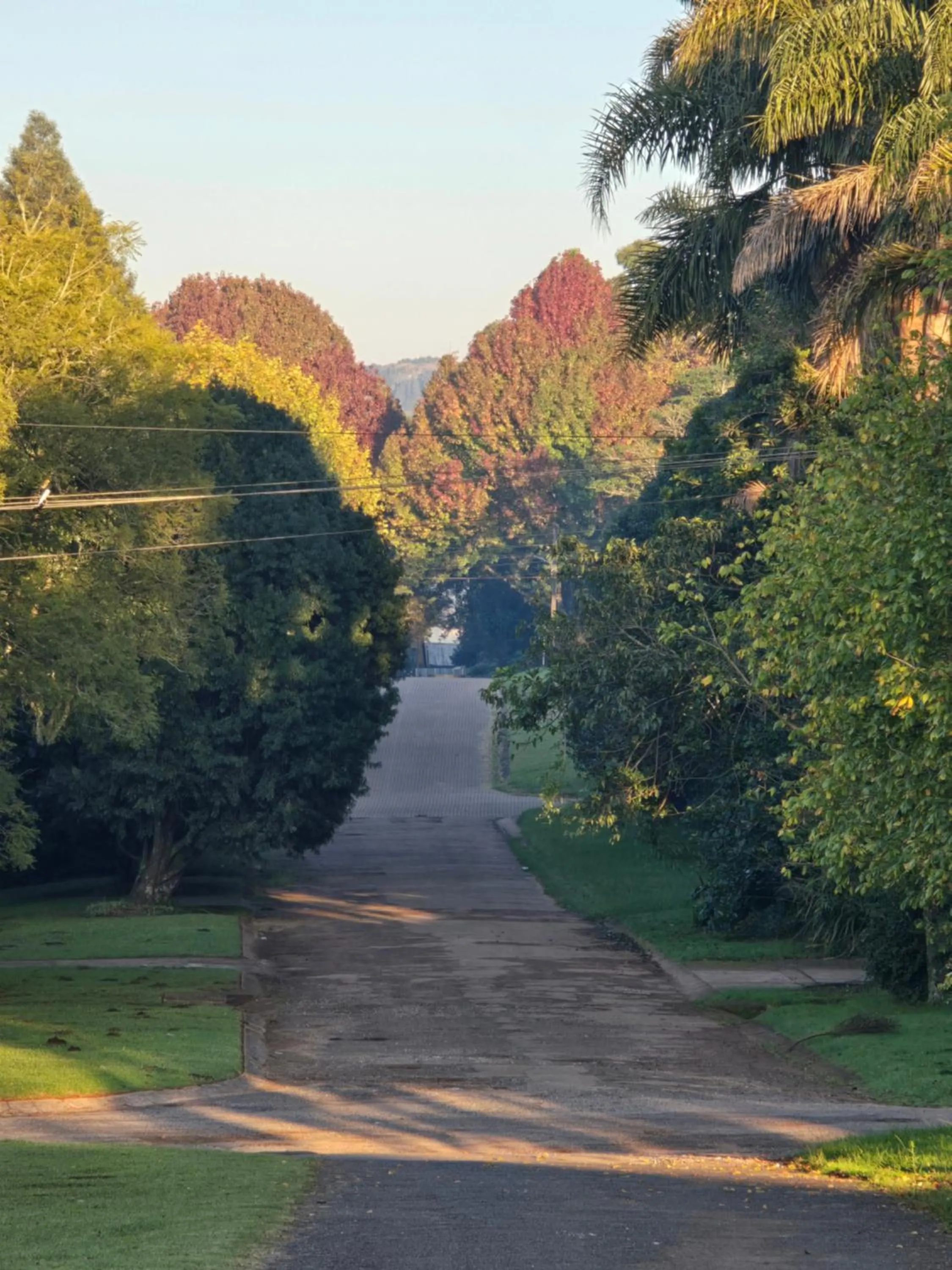 Neighbourhood in Mosswood Bed & Breakfast