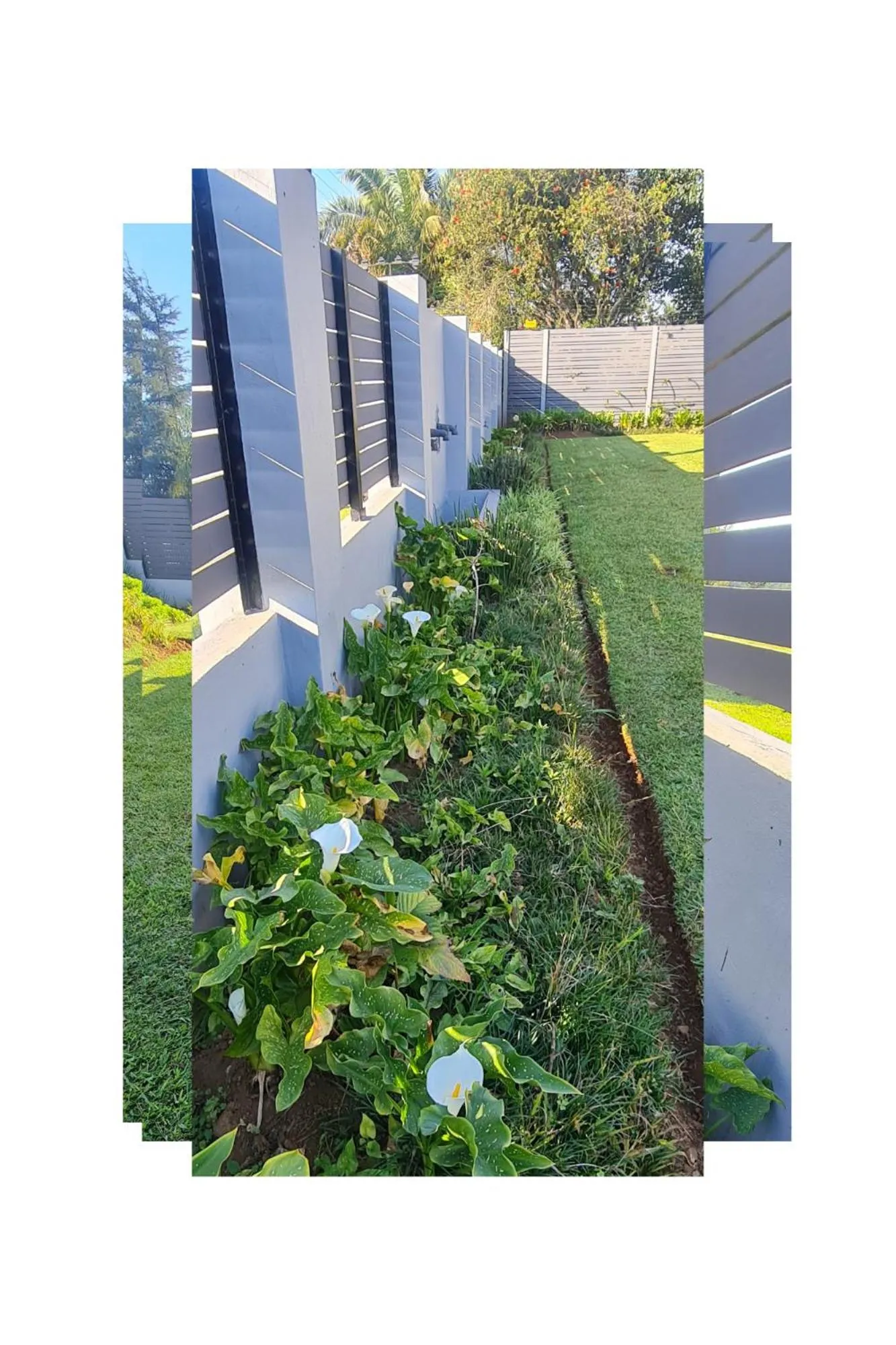 Day in Mosswood Bed & Breakfast