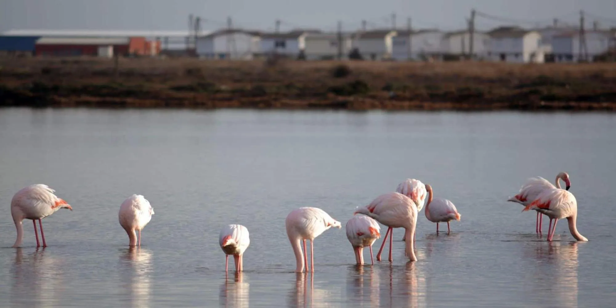 Property building in Les Ilots de Gruissan